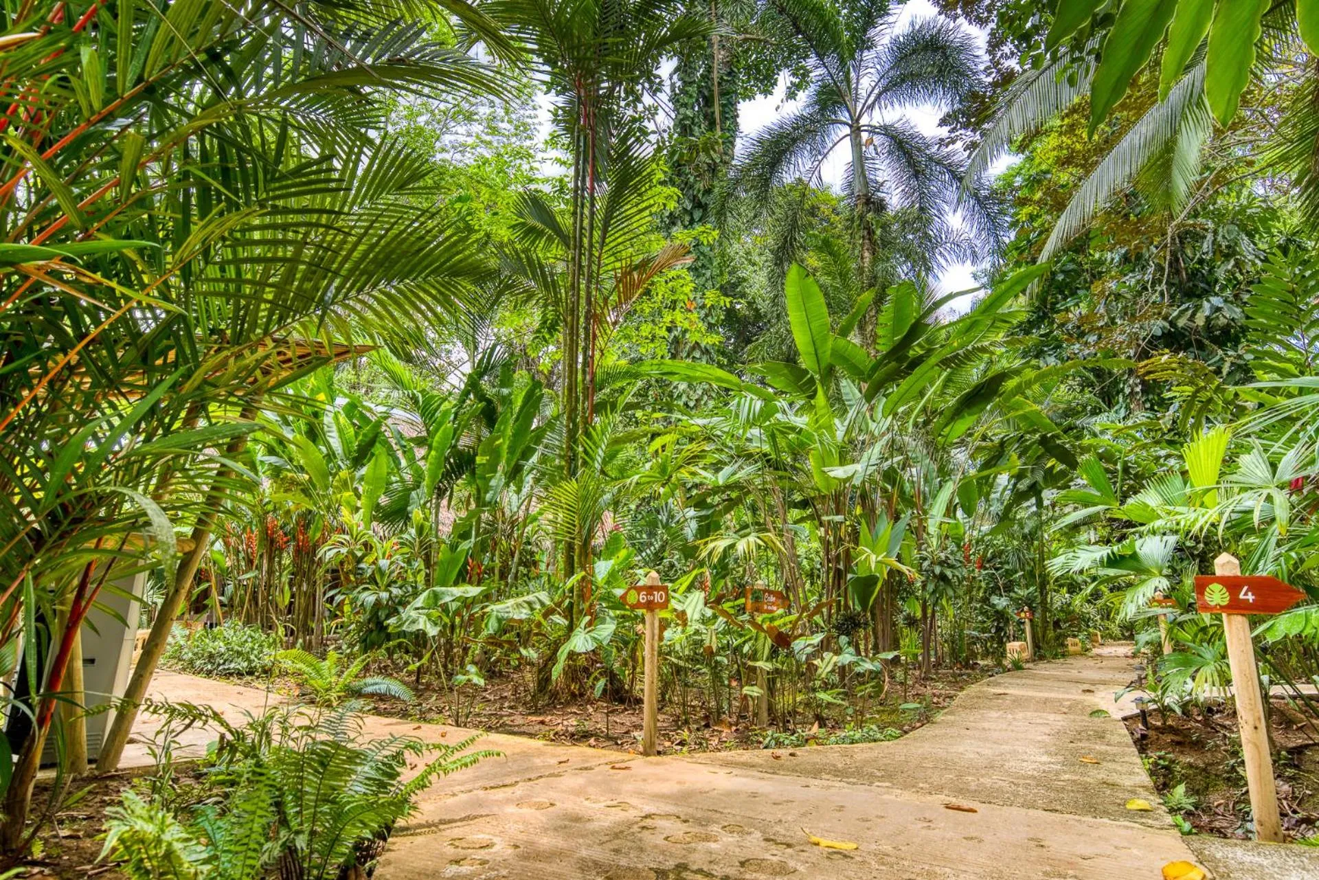 Natural landscape in Hotel Shawandha Costa Rica