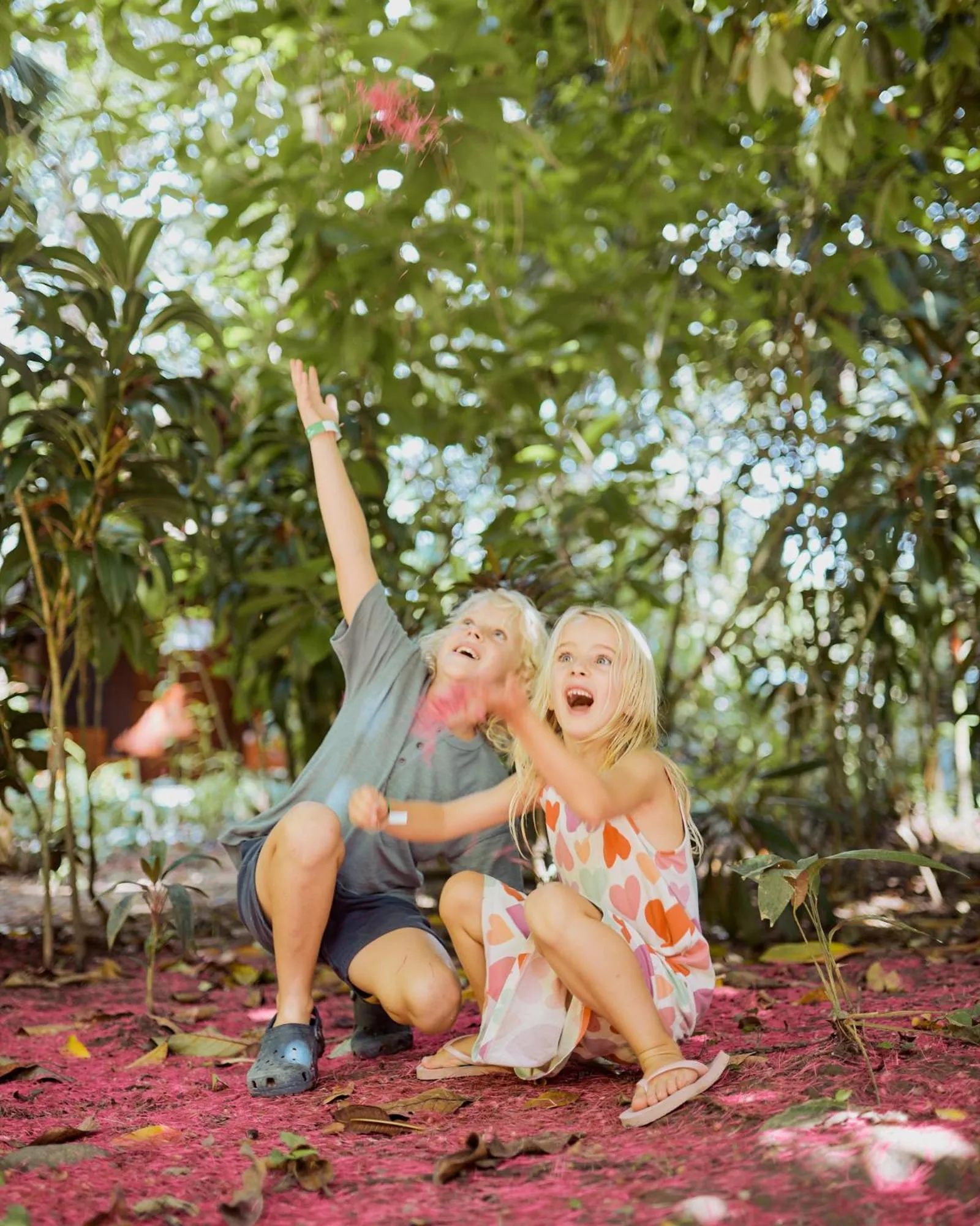 Garden in Hotel Shawandha Costa Rica
