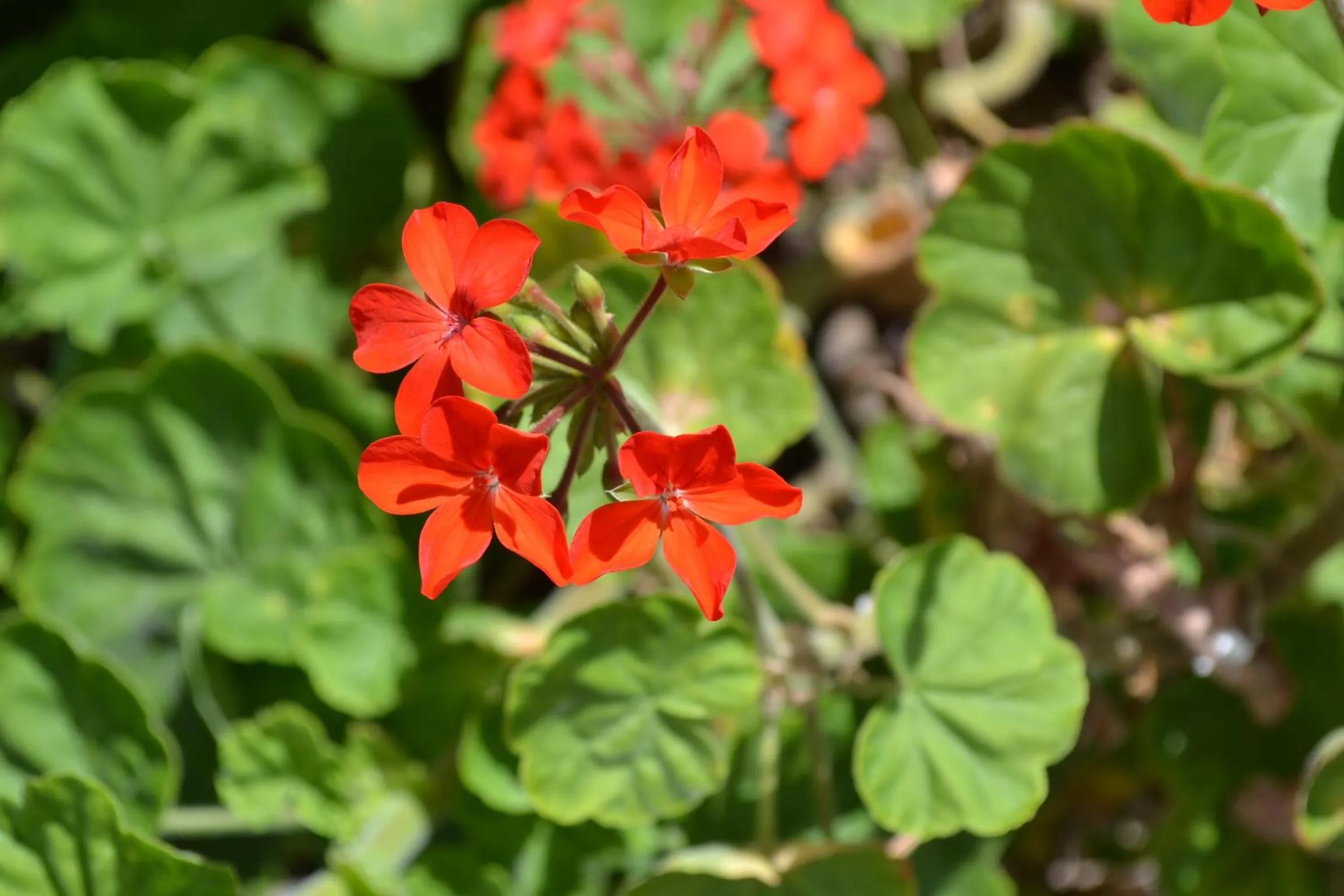 Off site in Cabañas Henua Iti