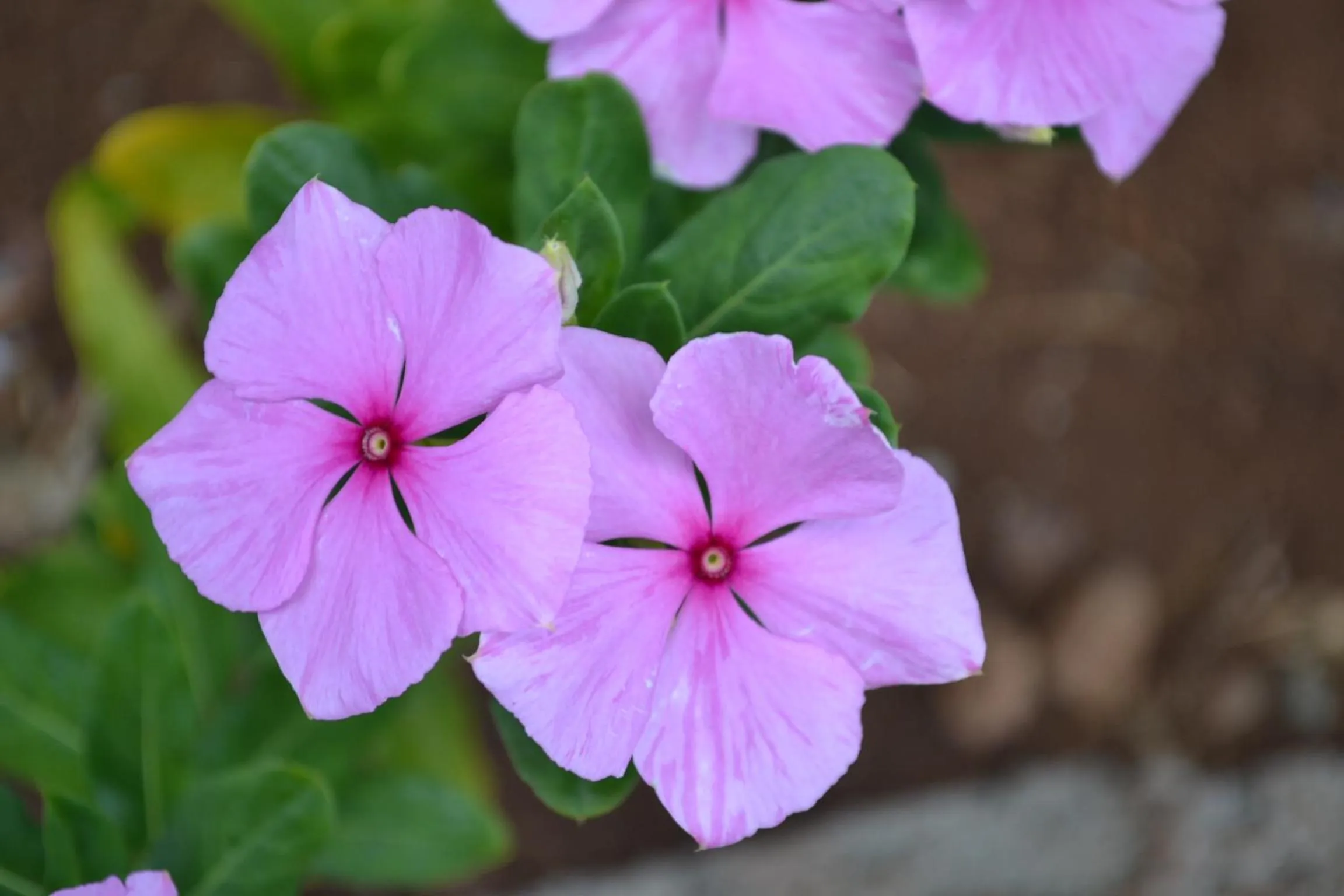 Off site in Cabañas Henua Iti