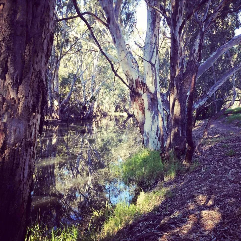 Tocumwal Early Settlers Motel
