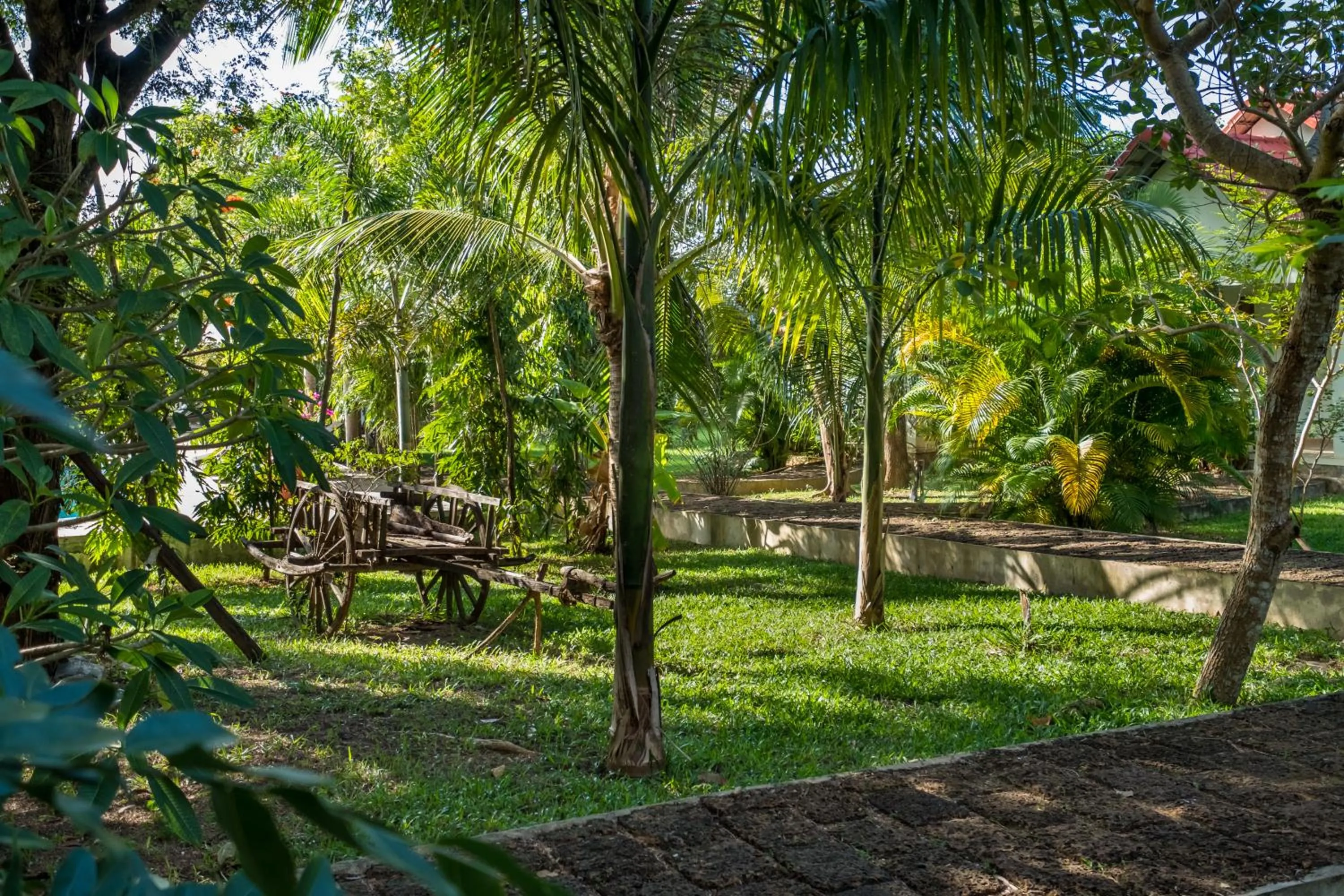 Garden in Kep Bungalows