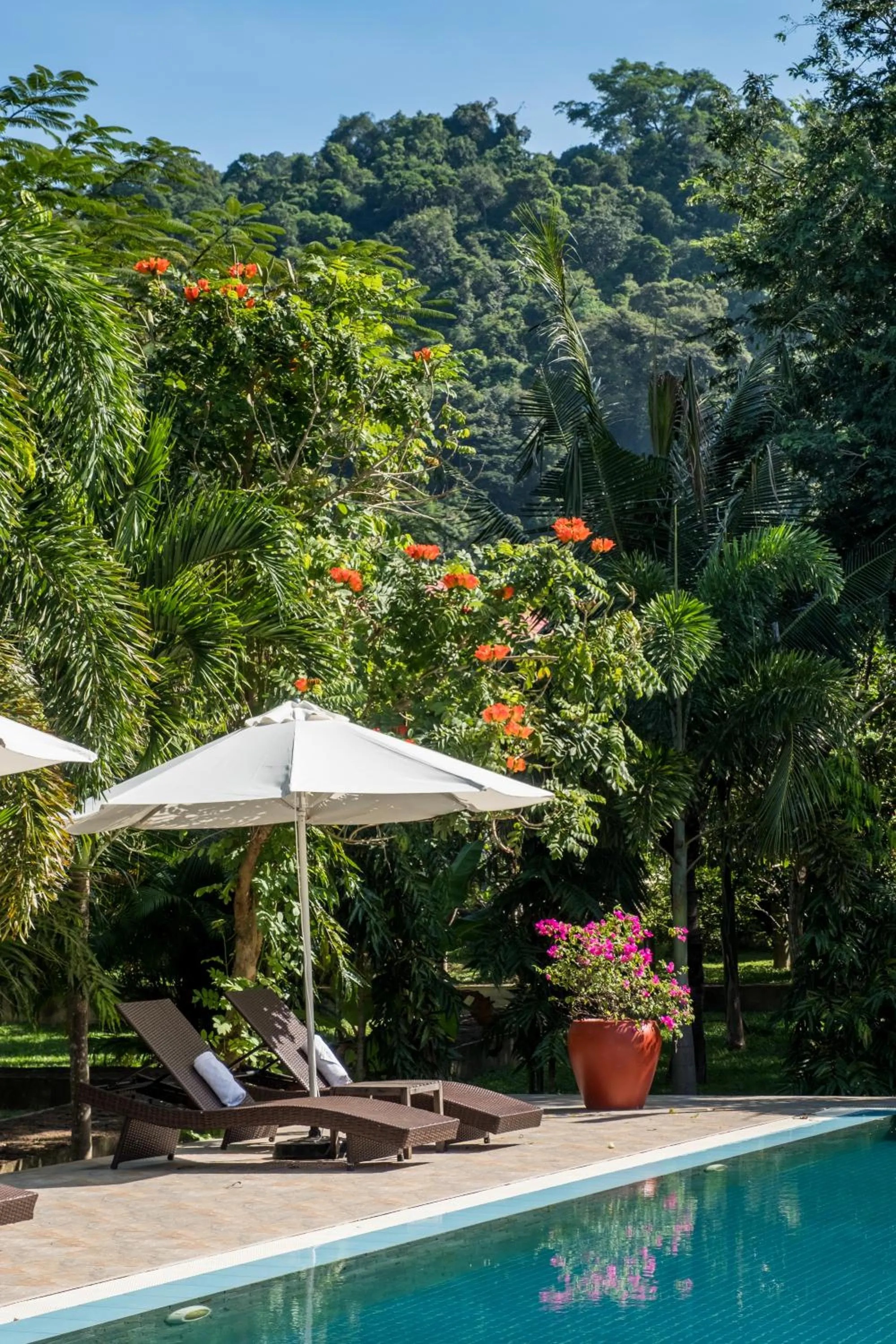 Garden in Kep Bungalows