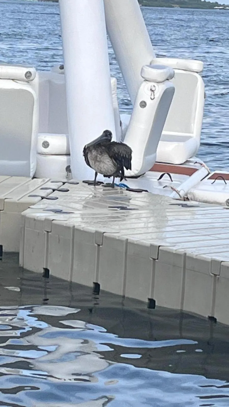 Hotel Paraiso Caribeño