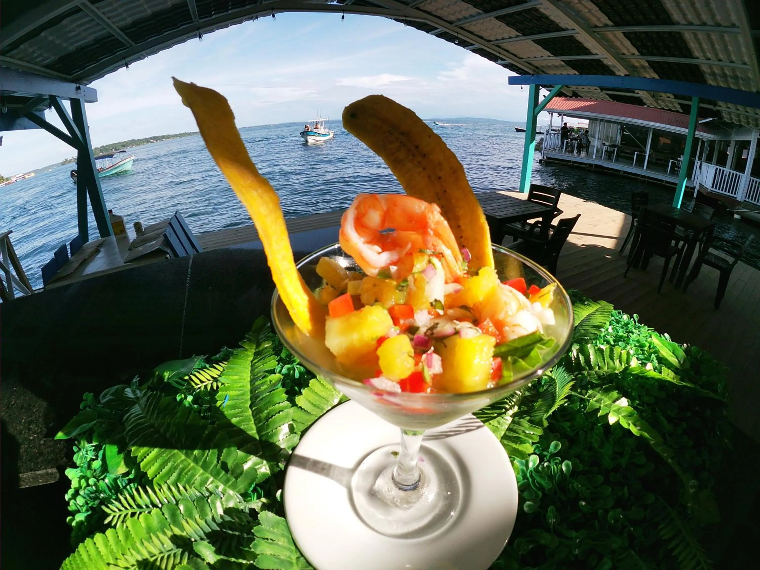 Hotel Paraiso Caribeño