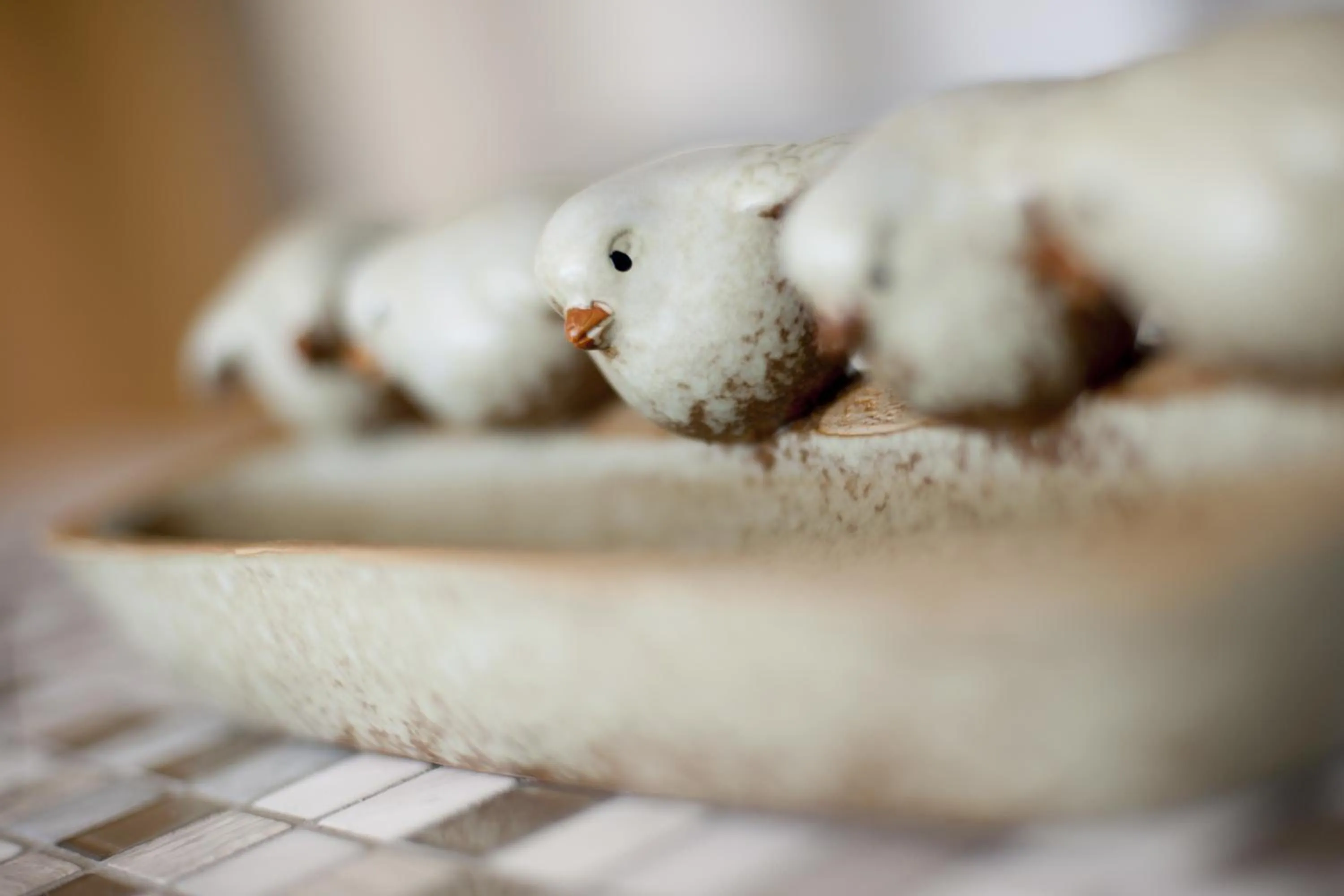 Decorative detail in Bollard Bay House