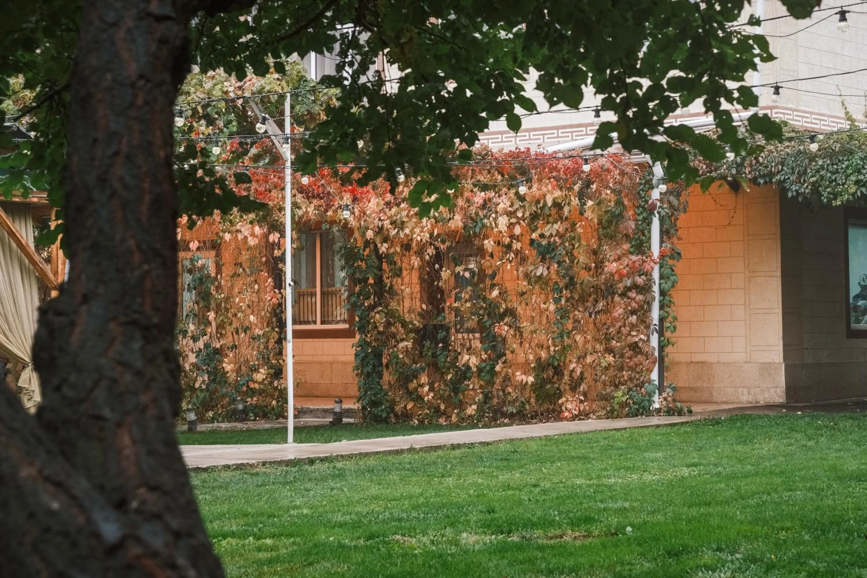 Garden view in TES Hotel