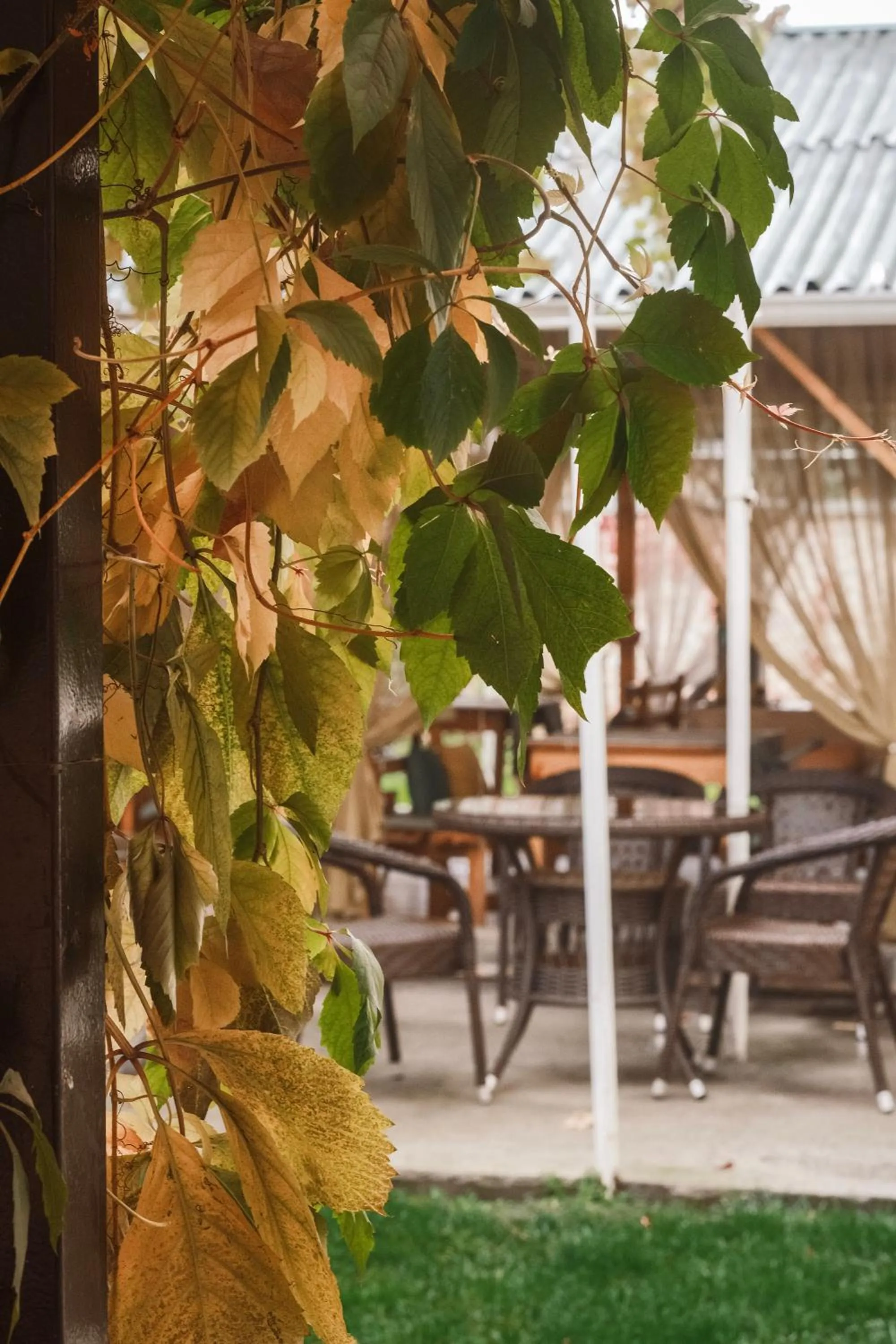 Restaurant/places to eat in TES Hotel