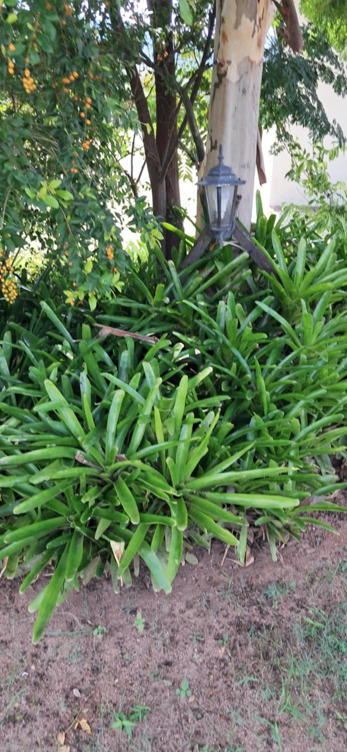 Lobby or reception in Sand River Cottages