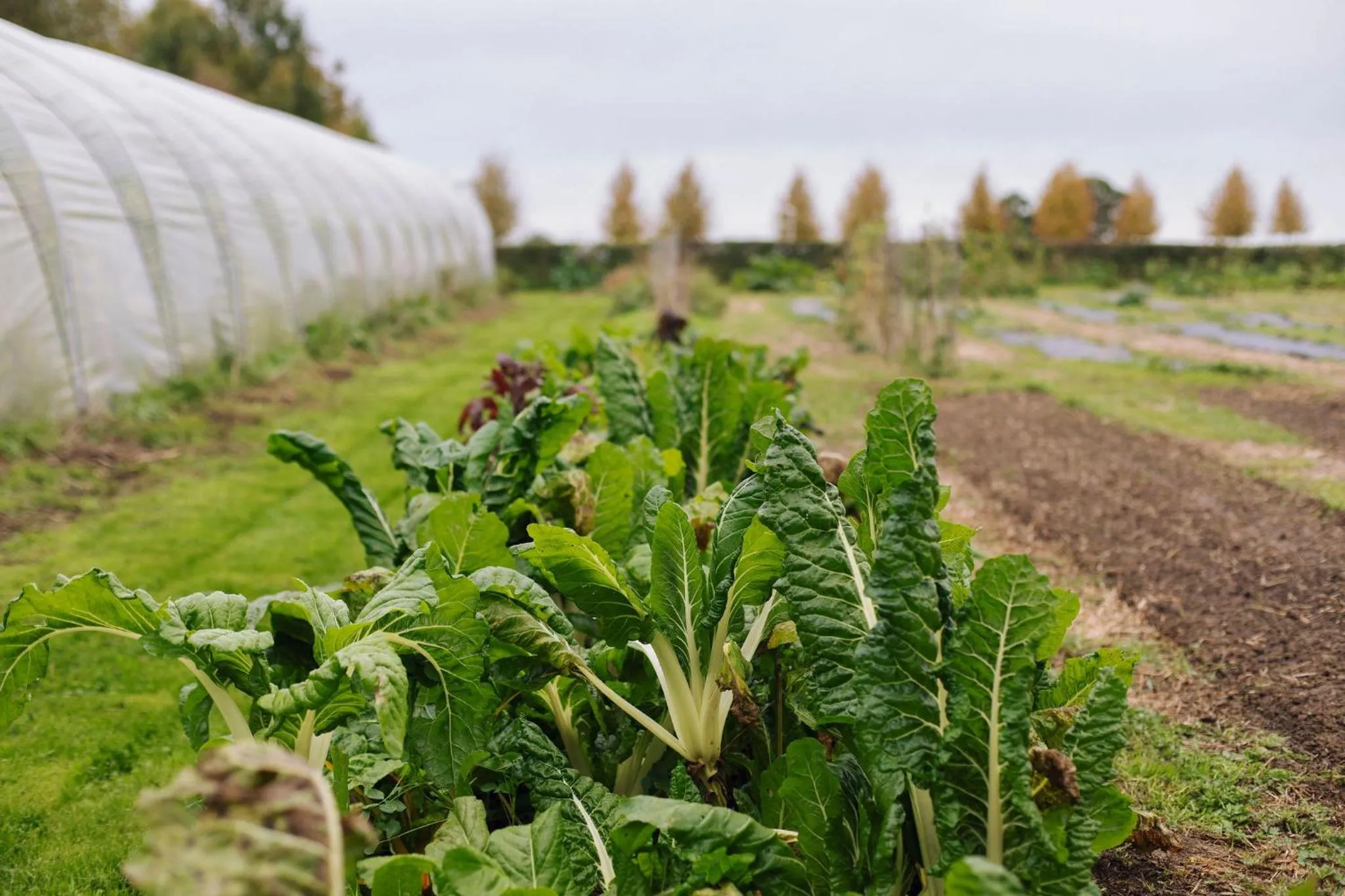 Garden in Domaine de Naxhelet