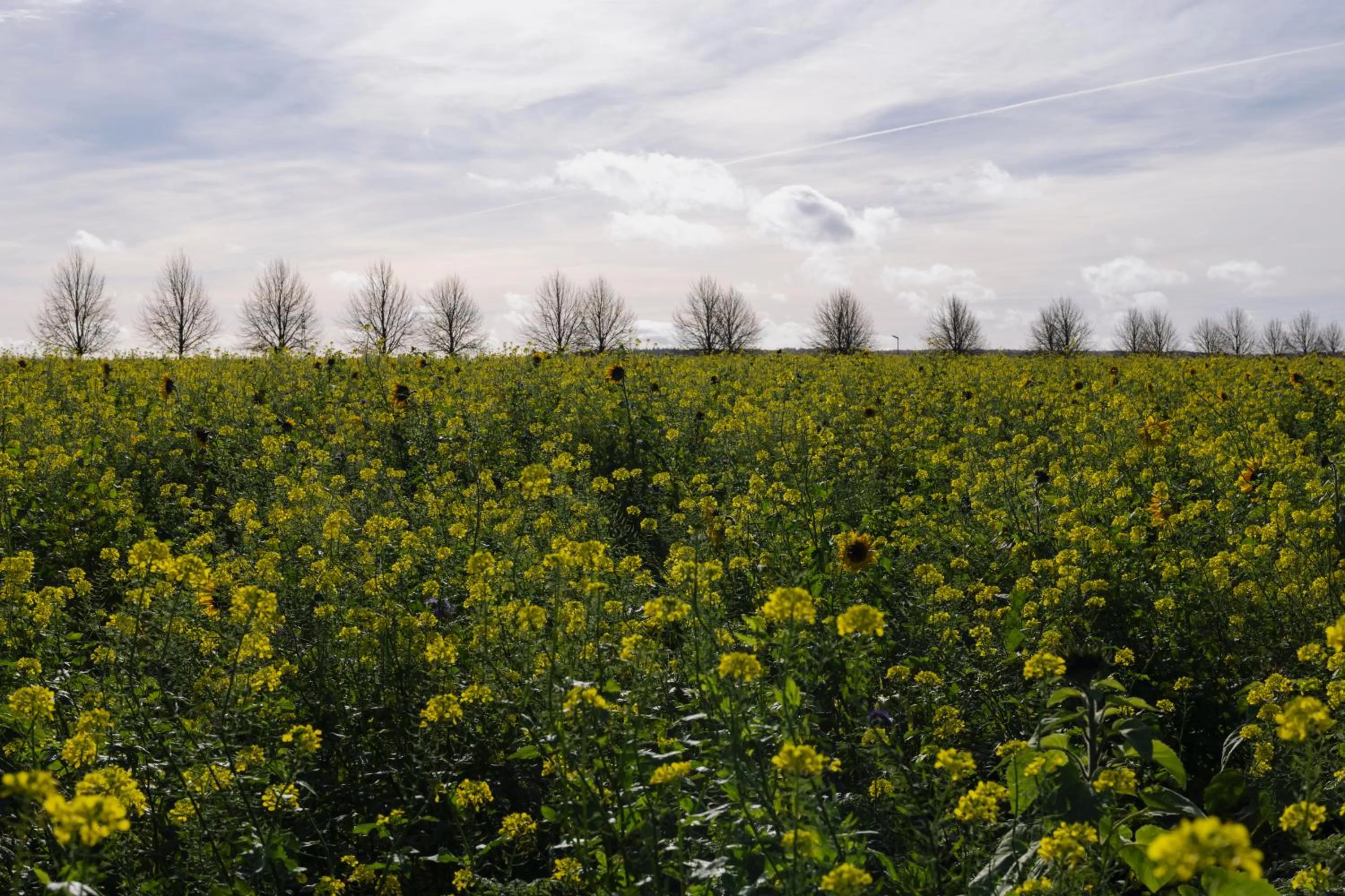 Spring in Domaine des Terres du Val