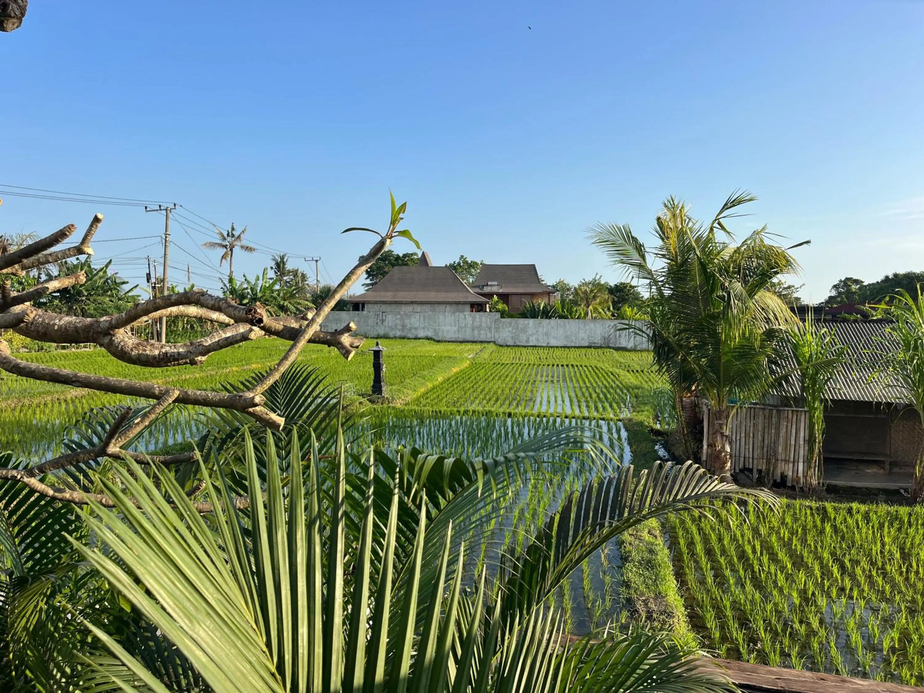 Neighbourhood in Unit Space Village