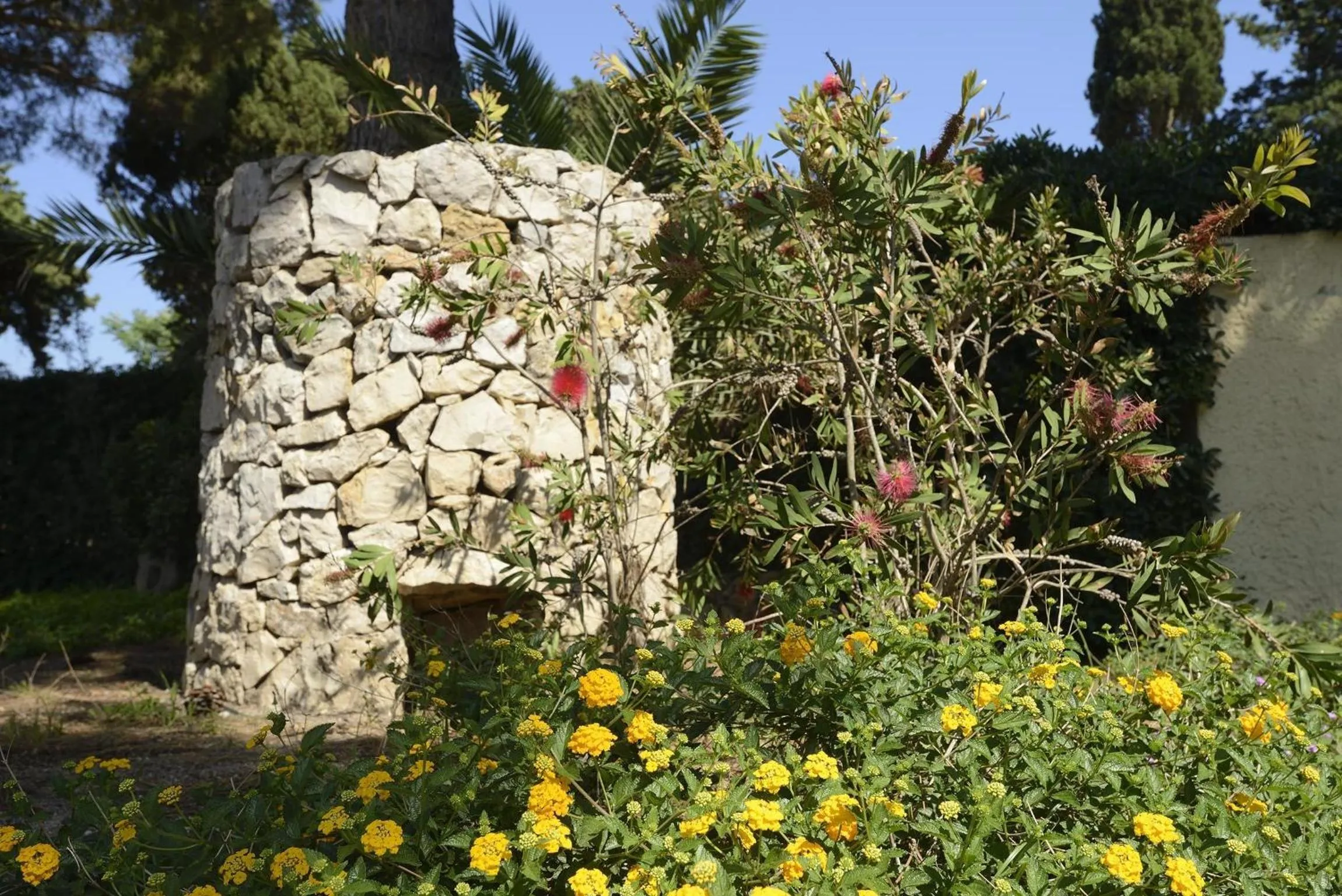 Garden in Residence Oasis