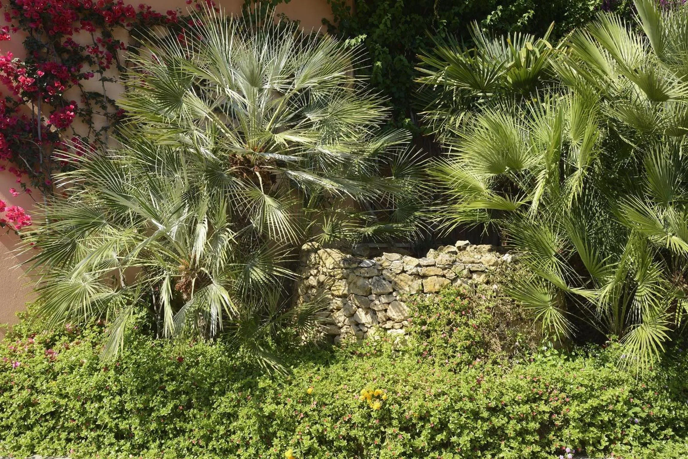 Garden in Residence Oasis