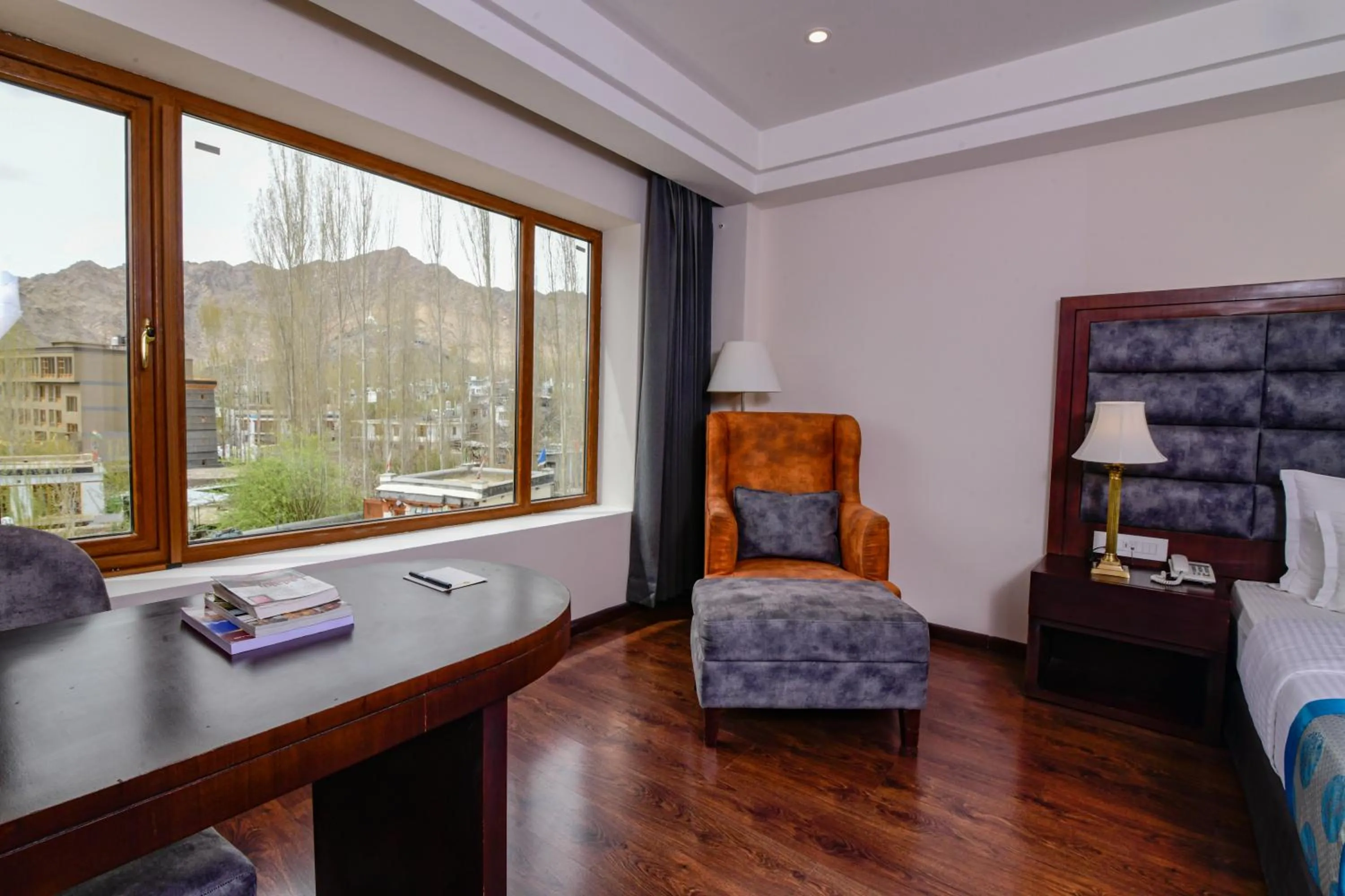 Mountain view in Tsokar Retreat