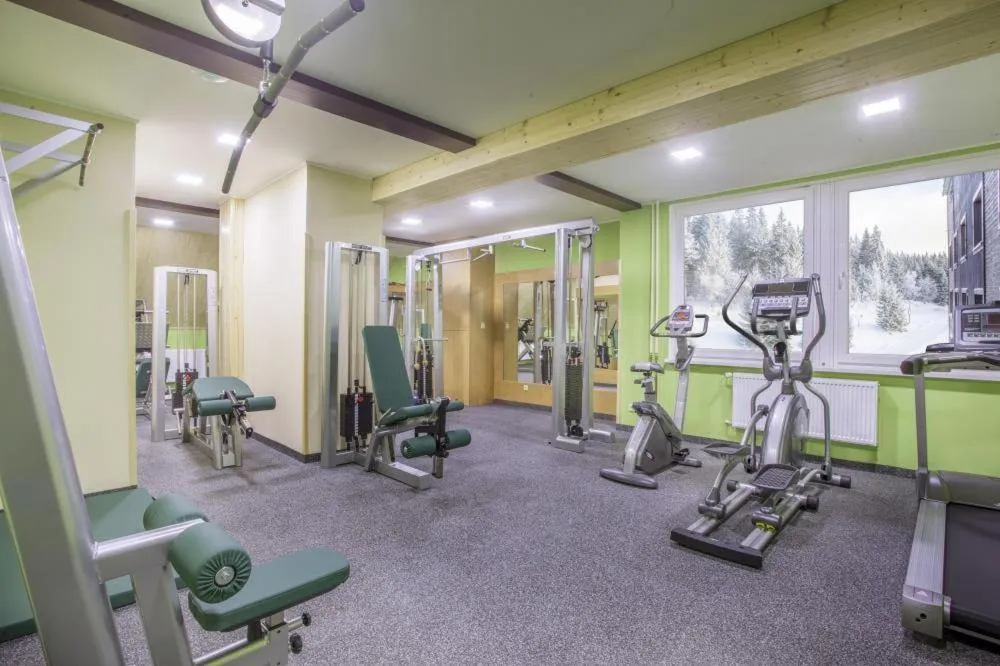 Fitness centre/facilities in Hotel Tetřeví Boudy