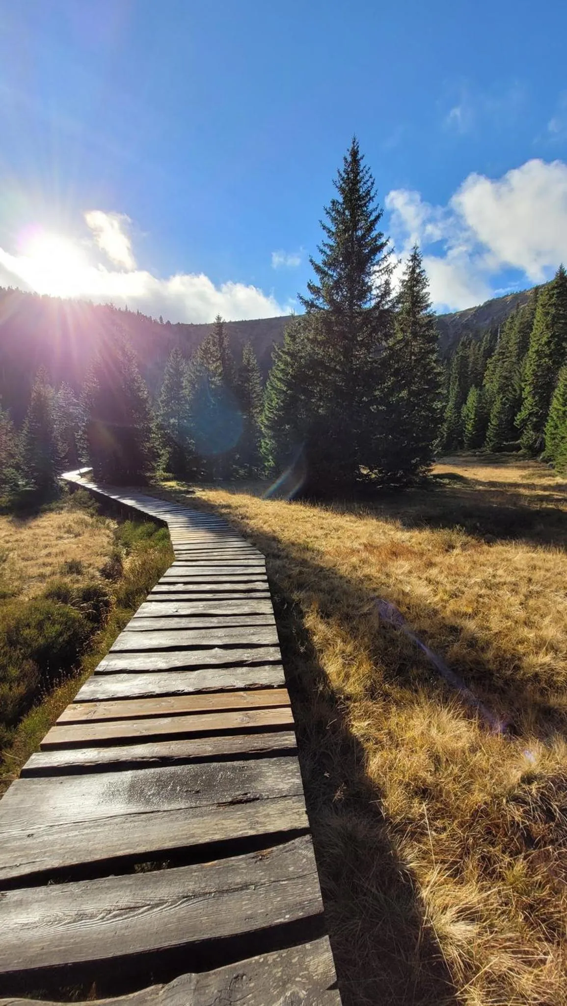Facade/entrance in Hotel Tetřeví Boudy