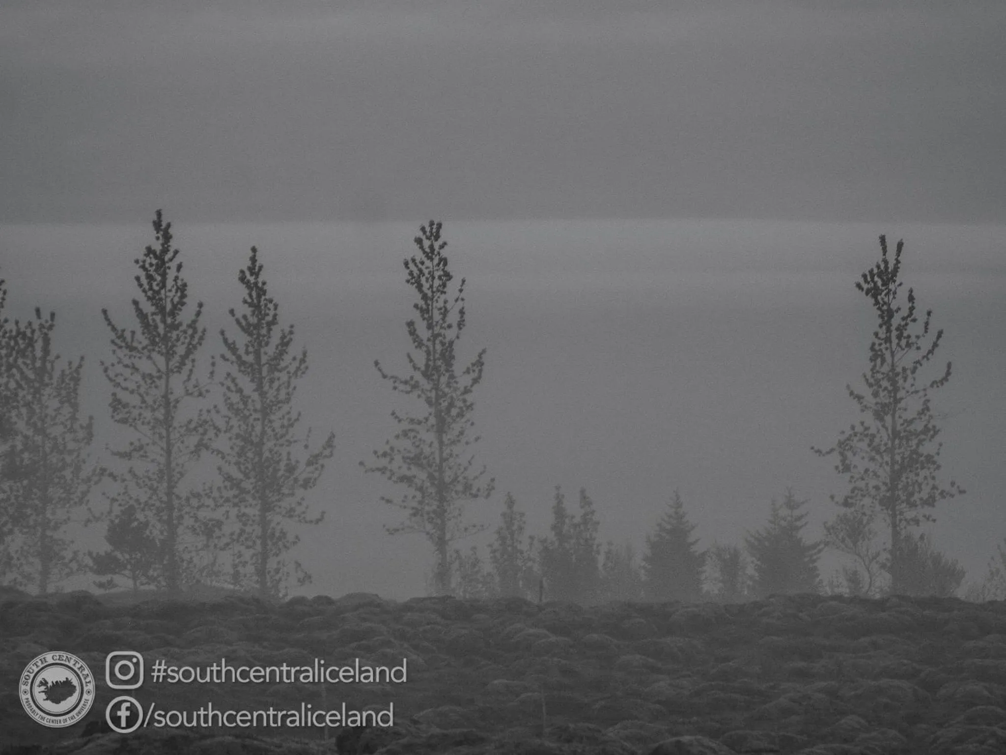 Other in South Central Apartments