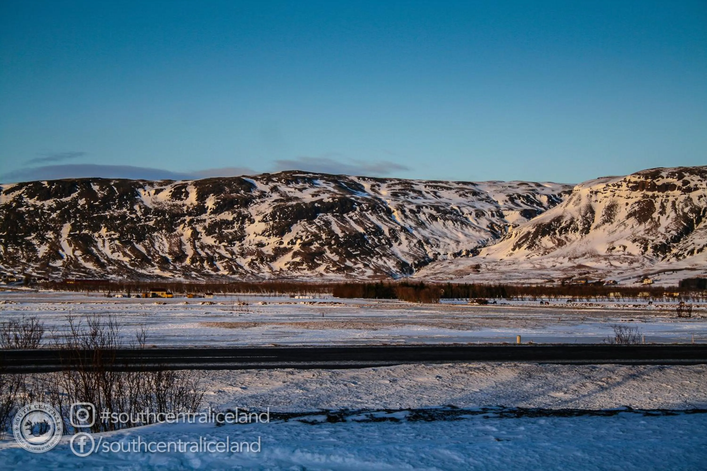 Day in South Central Apartments