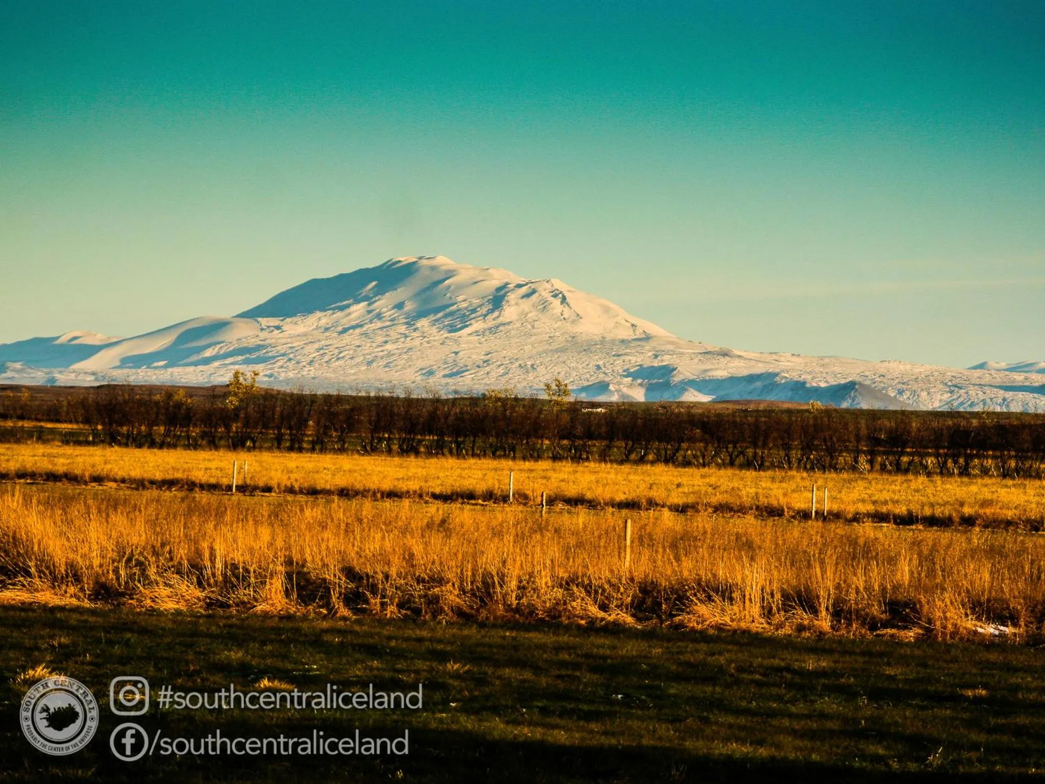 Day in South Central Apartments
