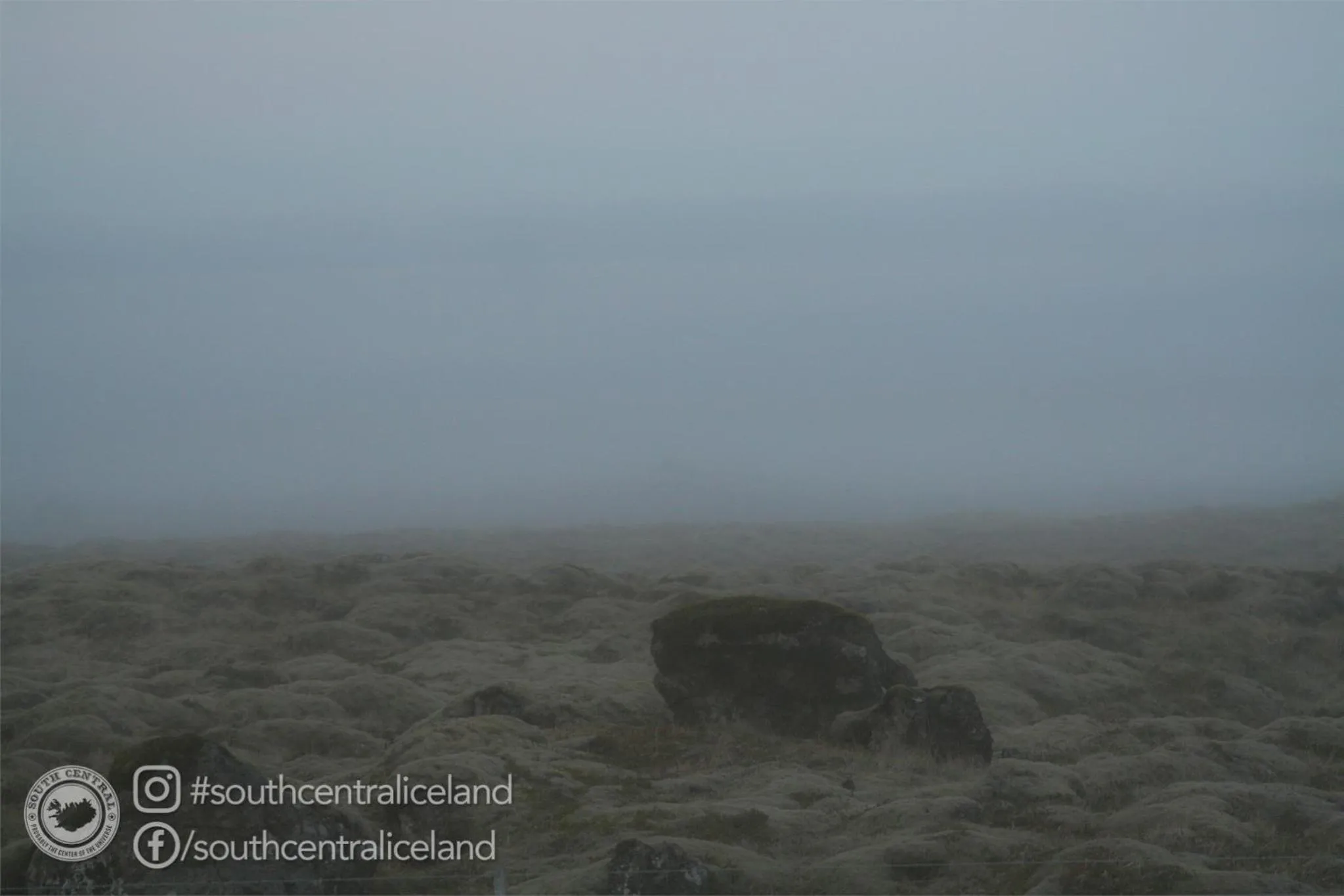 Natural landscape in South Central Apartments