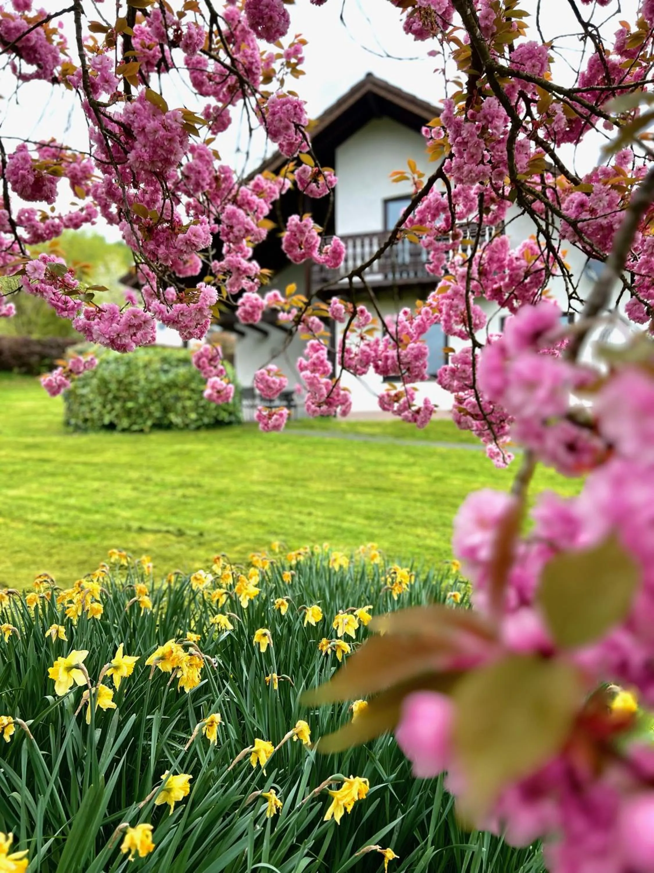 Area and facilities in Ferienpark Rursee