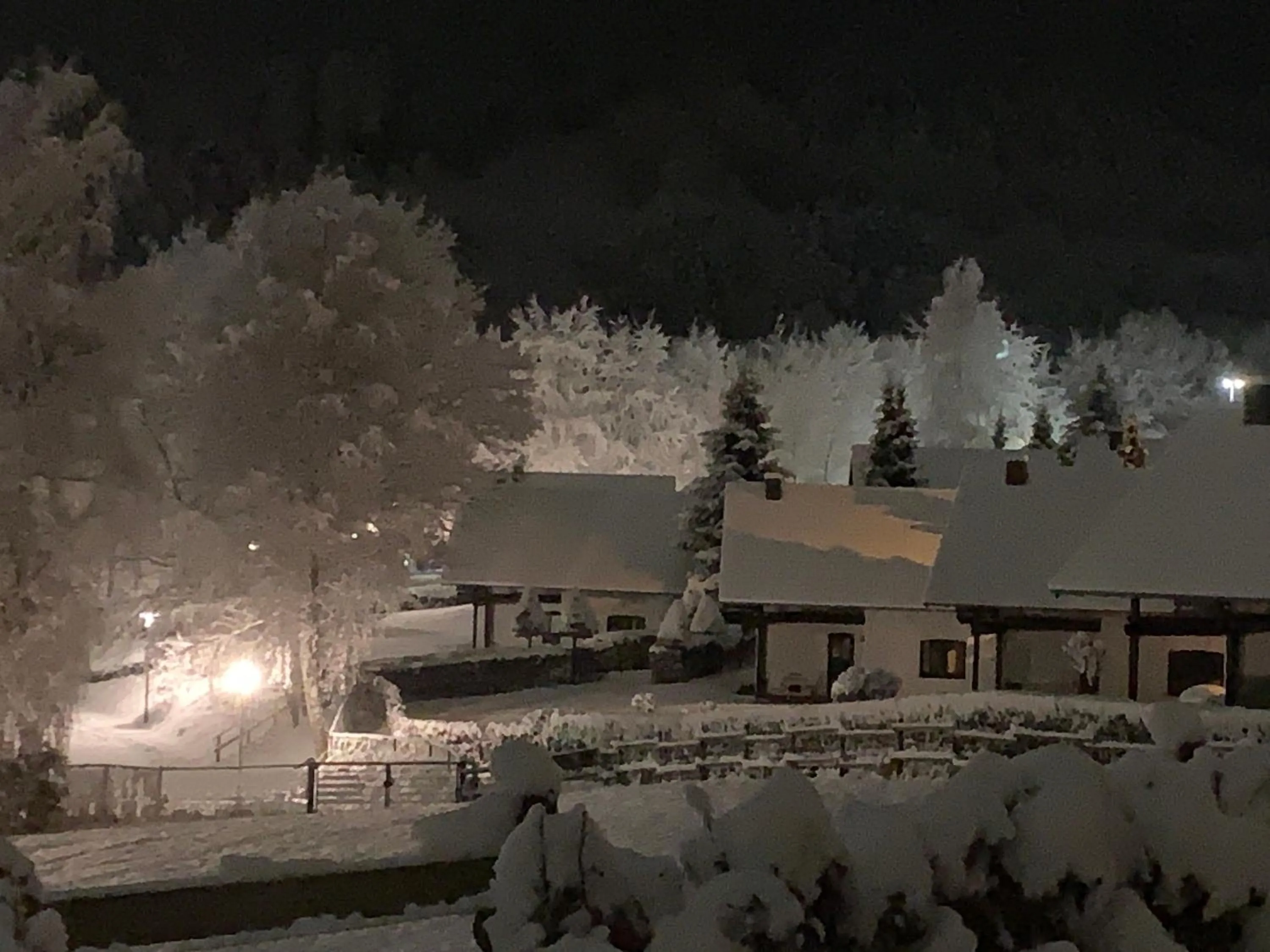 Winter in Ferienpark Rursee