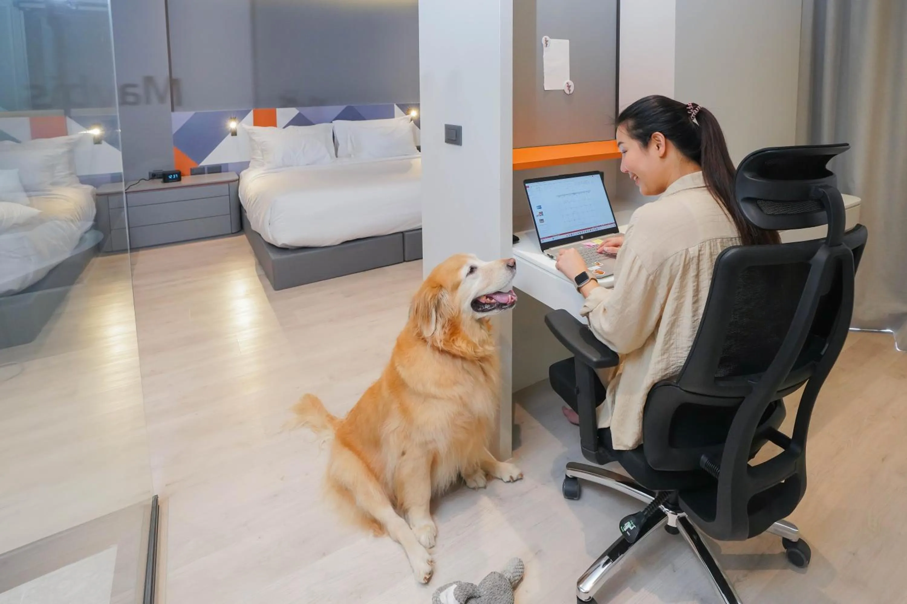 Pets in Maybis Hotel