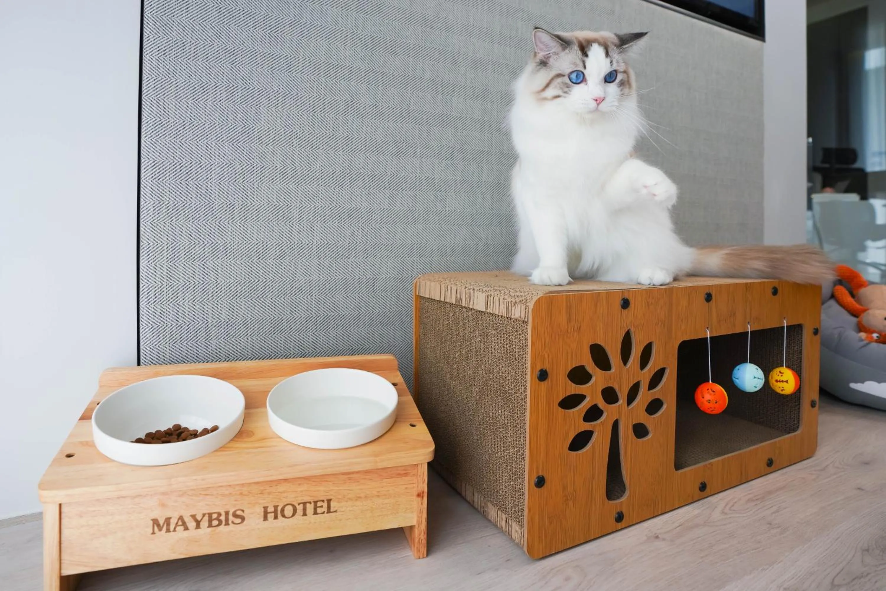 Pets in Maybis Hotel