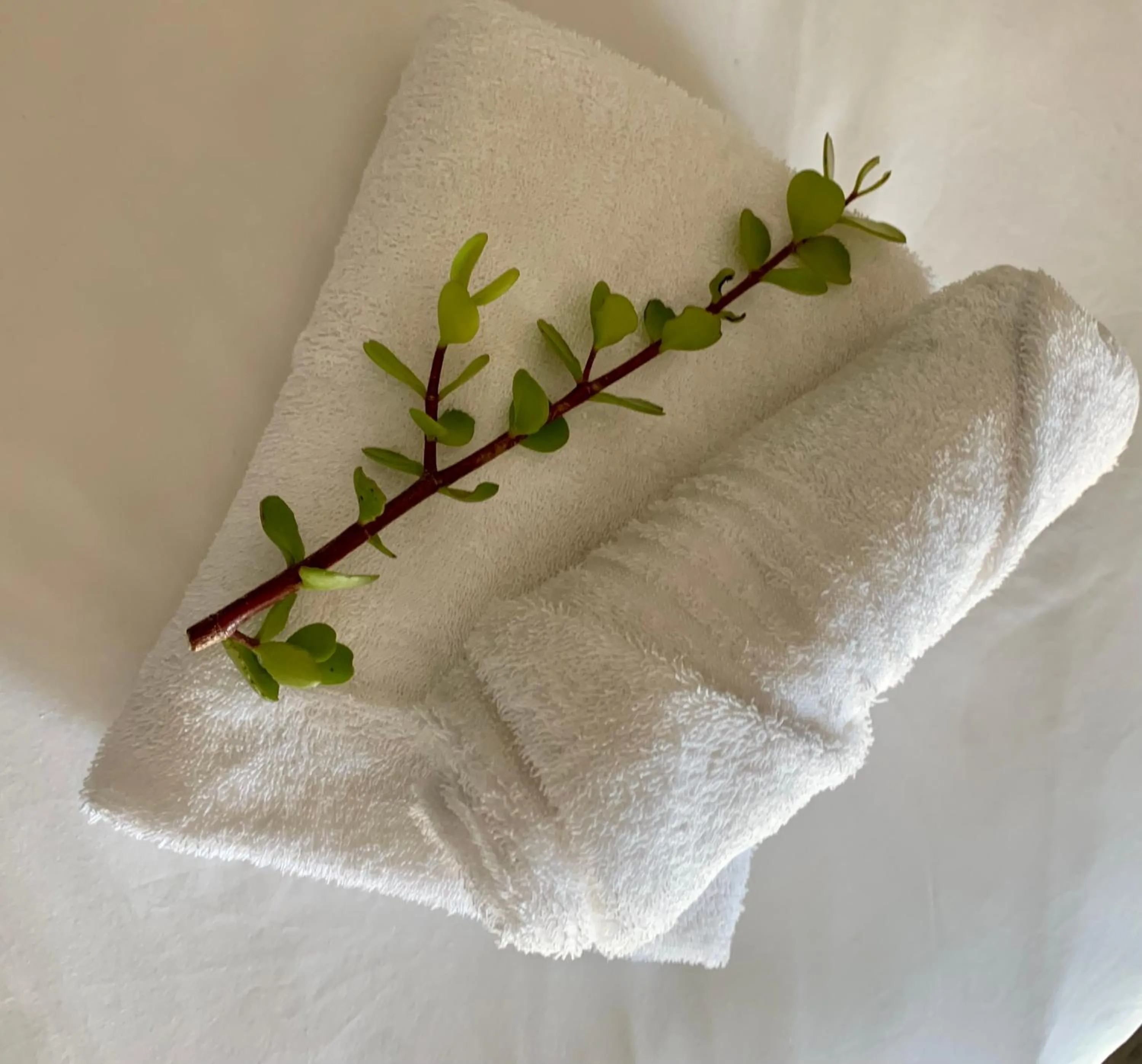 towels in Woodbridge Lodge