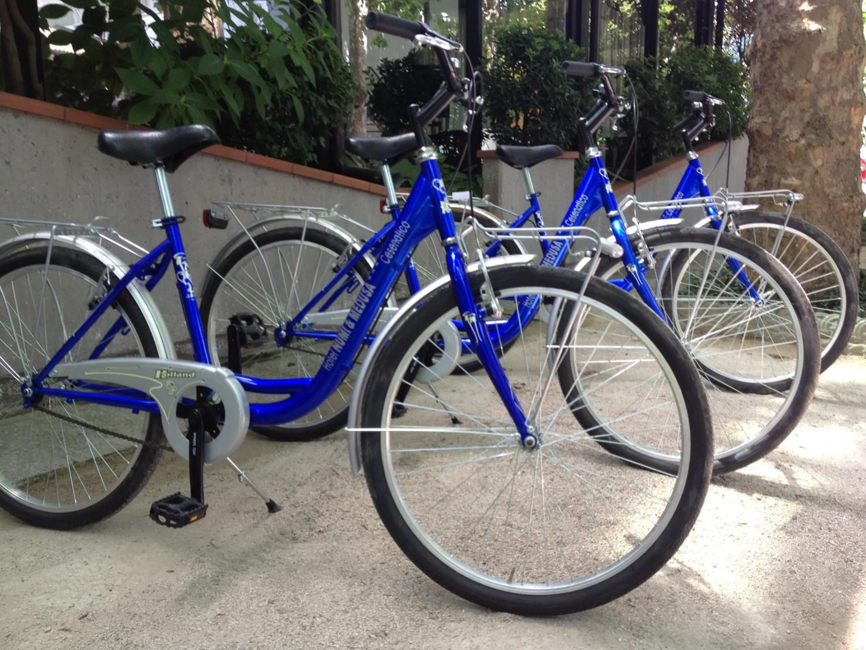 Cycling in Hotel Numi & Medusa