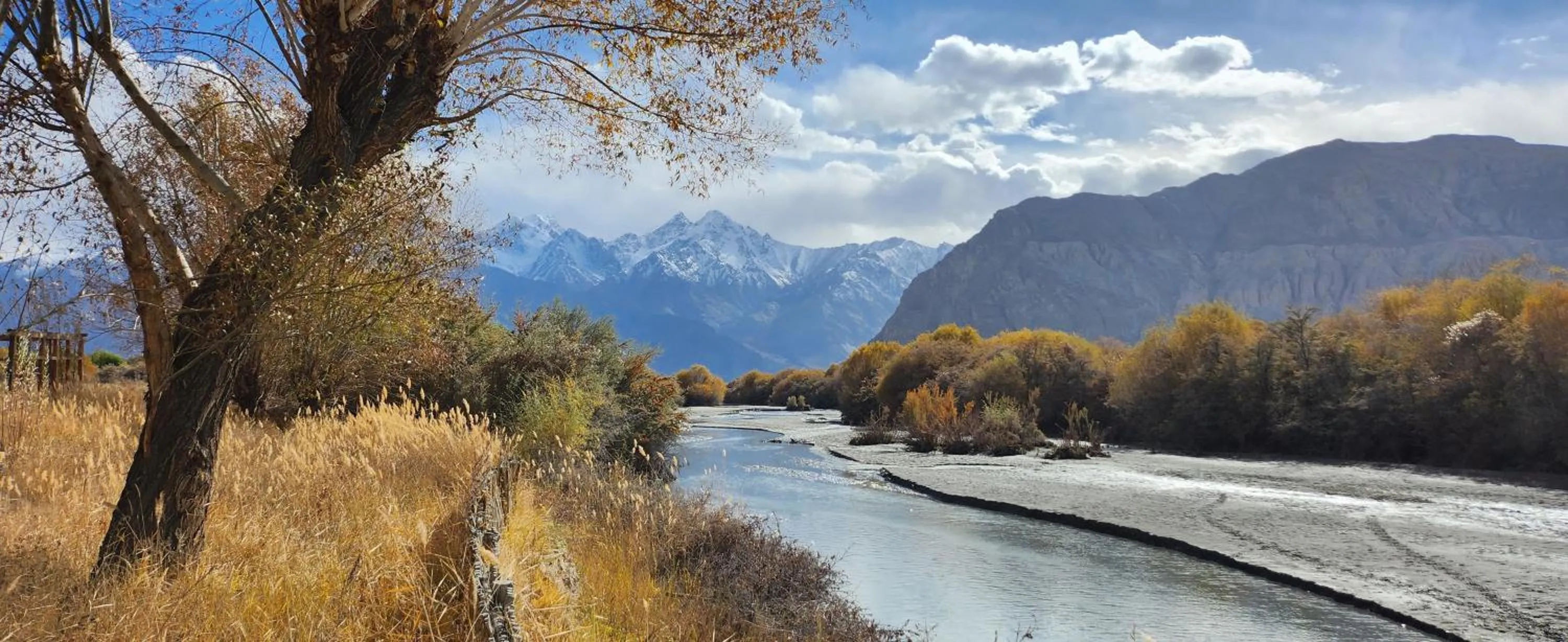Activities in Lharimo Hotel Leh - Ladakh