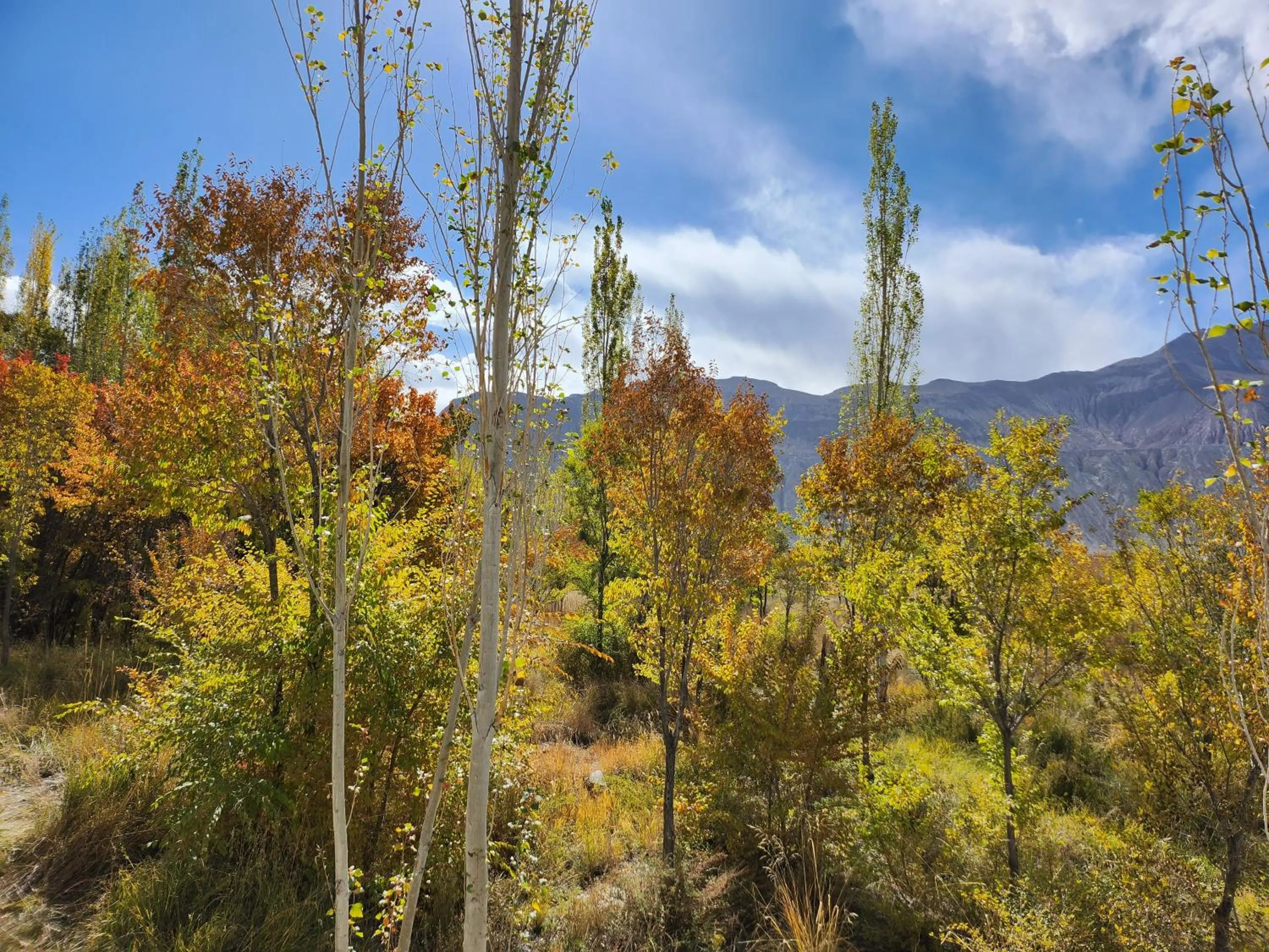 Natural landscape in Lharimo Hotel Leh - Ladakh