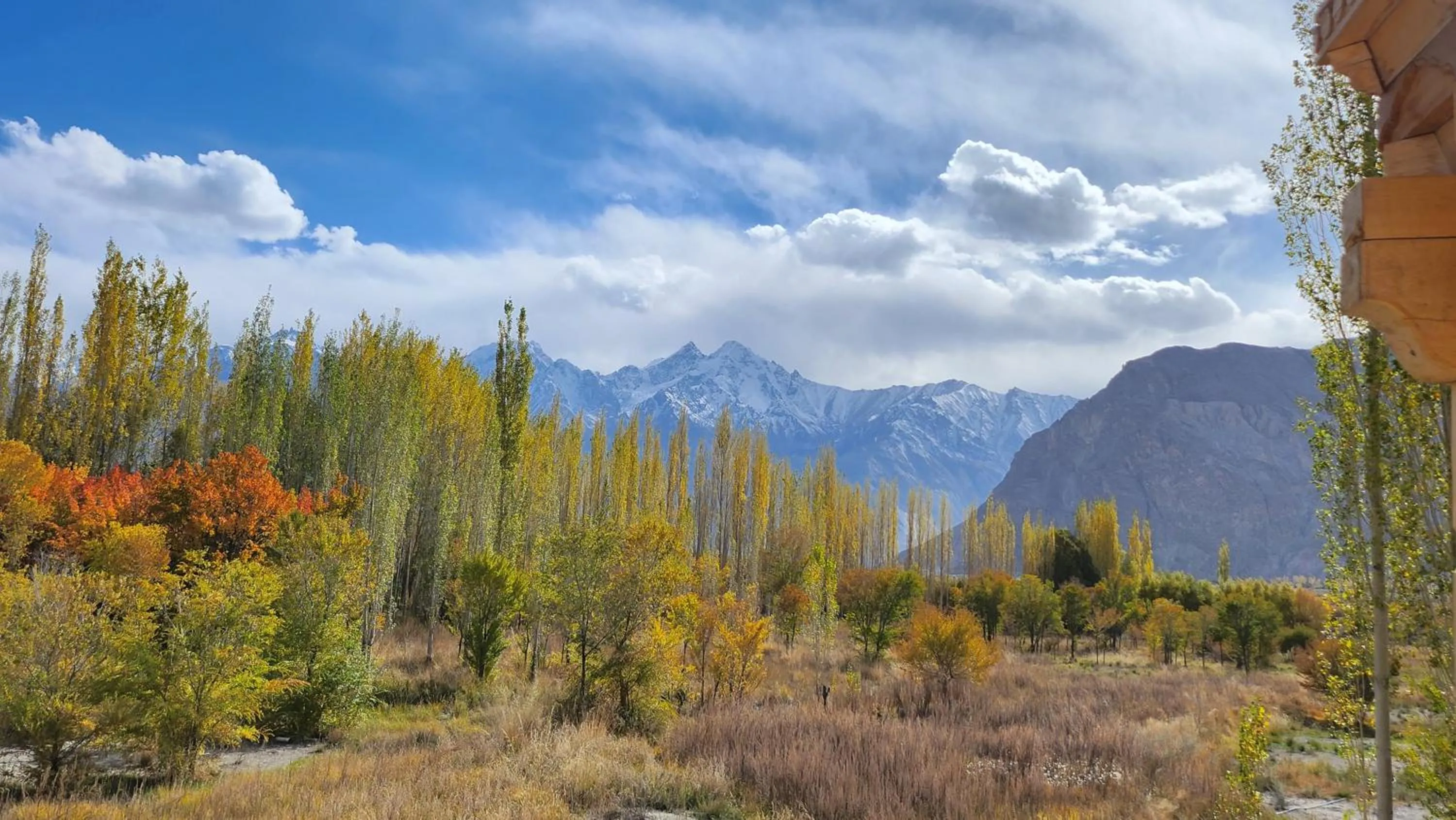 Mountain view in Lharimo Hotel Leh - Ladakh
