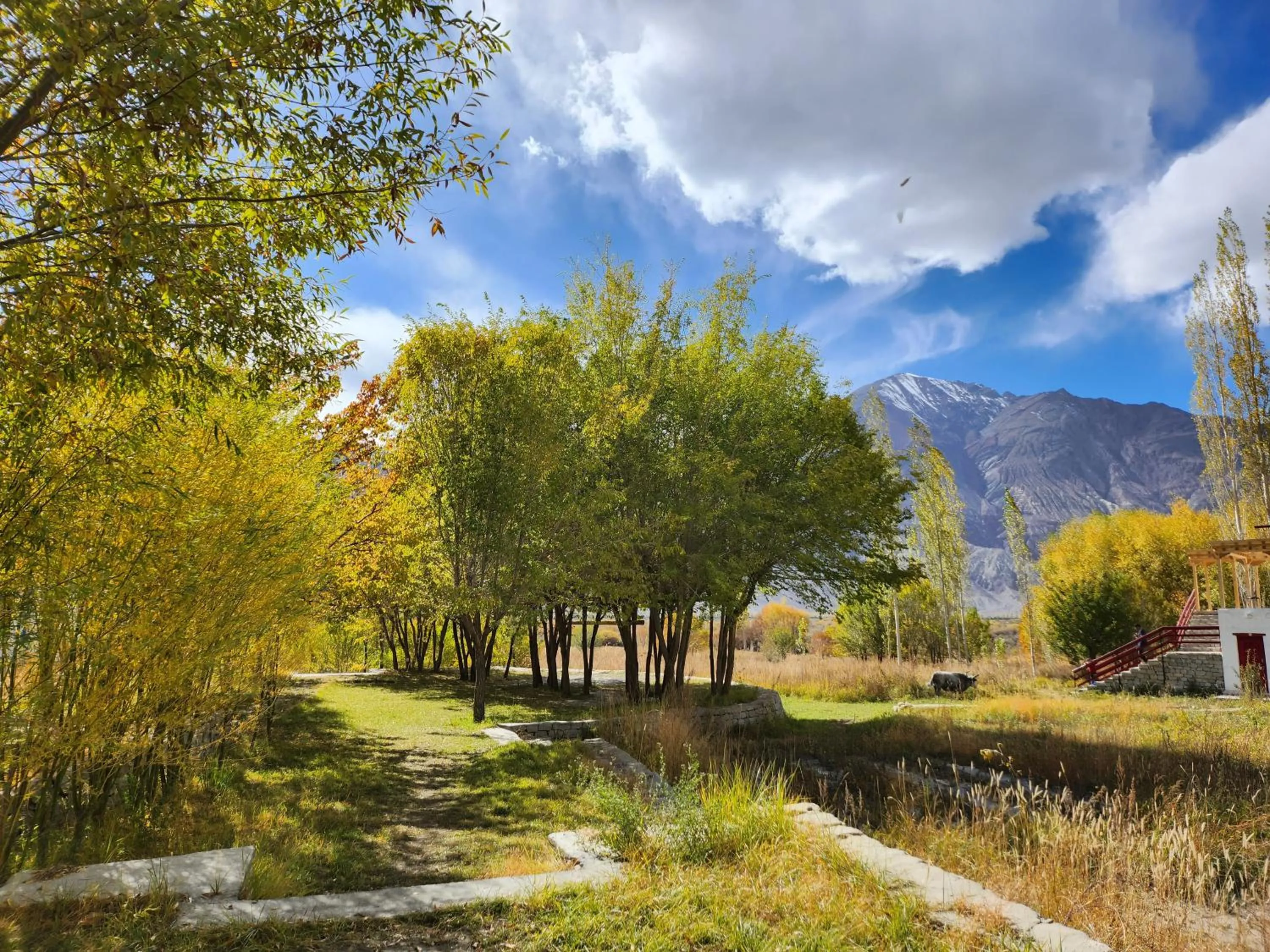 Natural landscape in Lharimo Hotel Leh - Ladakh