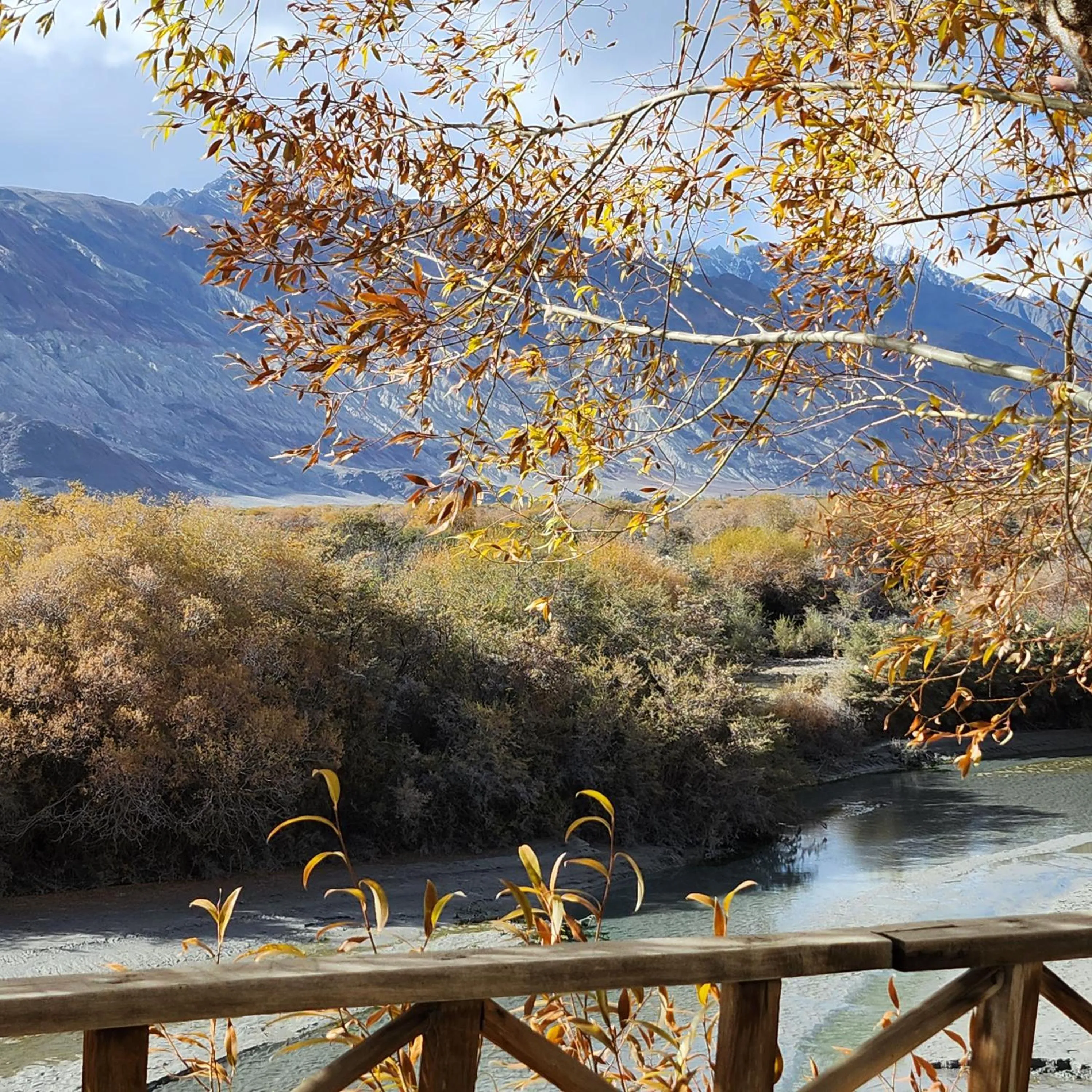 Natural landscape in Lharimo Hotel Leh - Ladakh