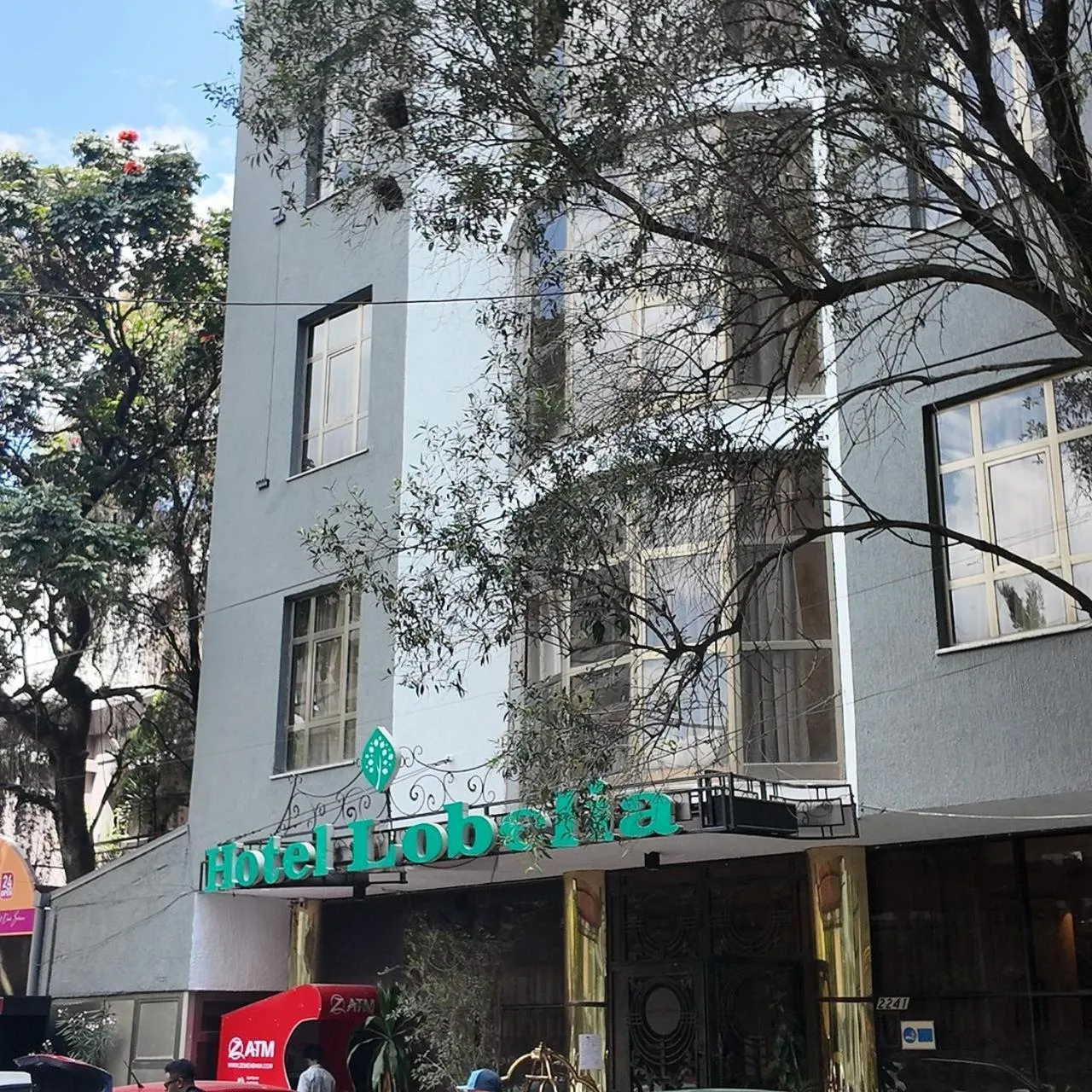 Property building in Hotel Lobelia