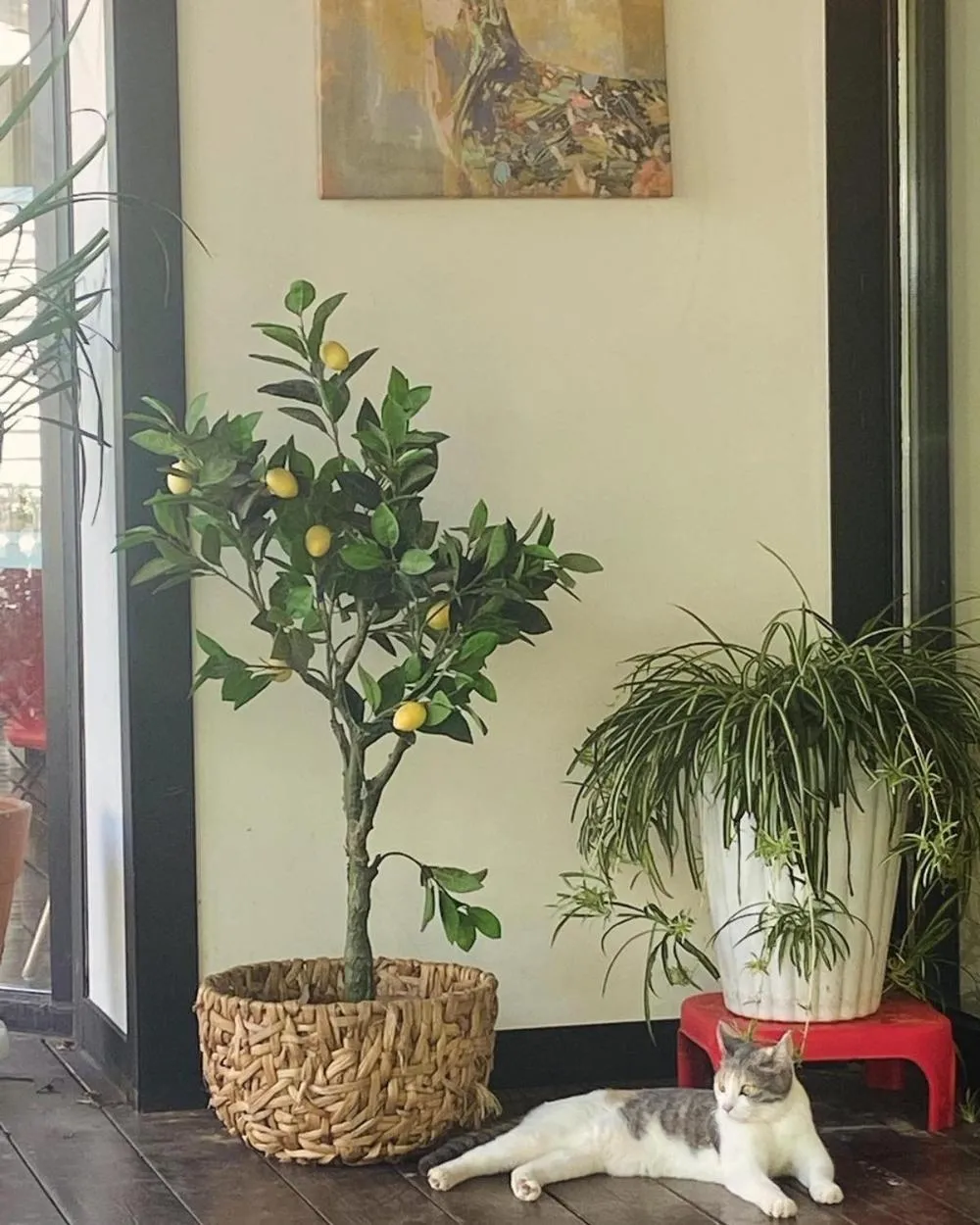 Anmyeondo Tamarind Pension