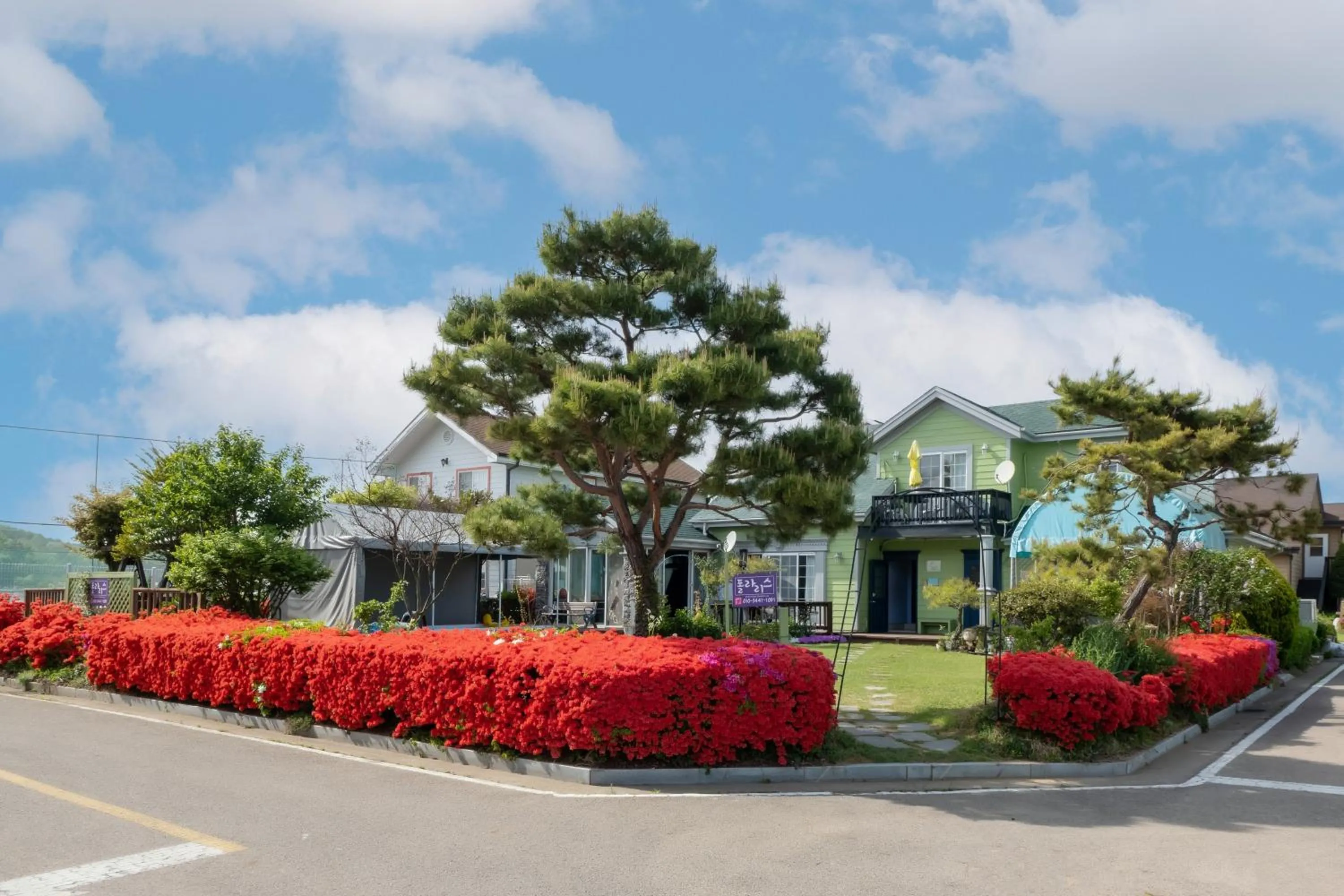 Daebudo polaris pension