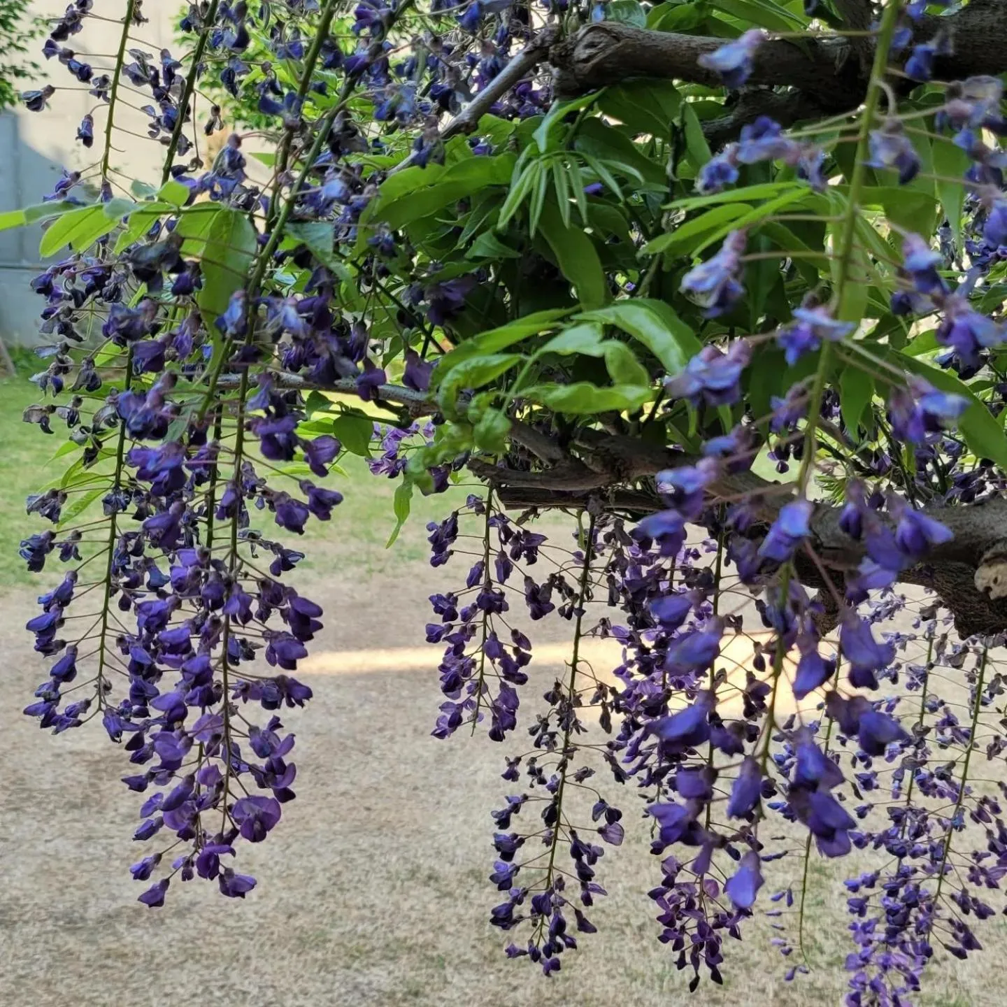 Chuncheon Onda Poolvilla