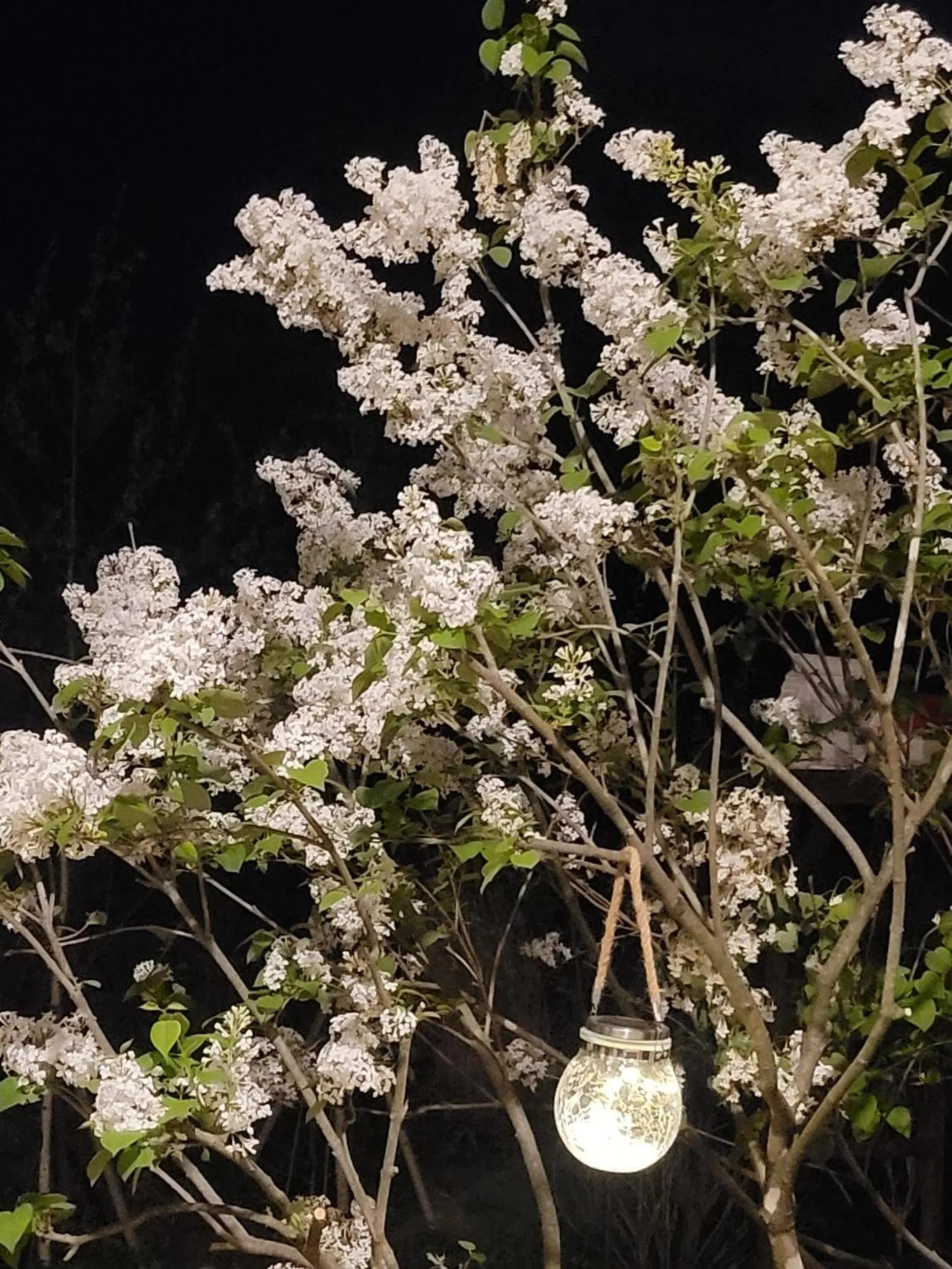 Chuncheon Onda Poolvilla