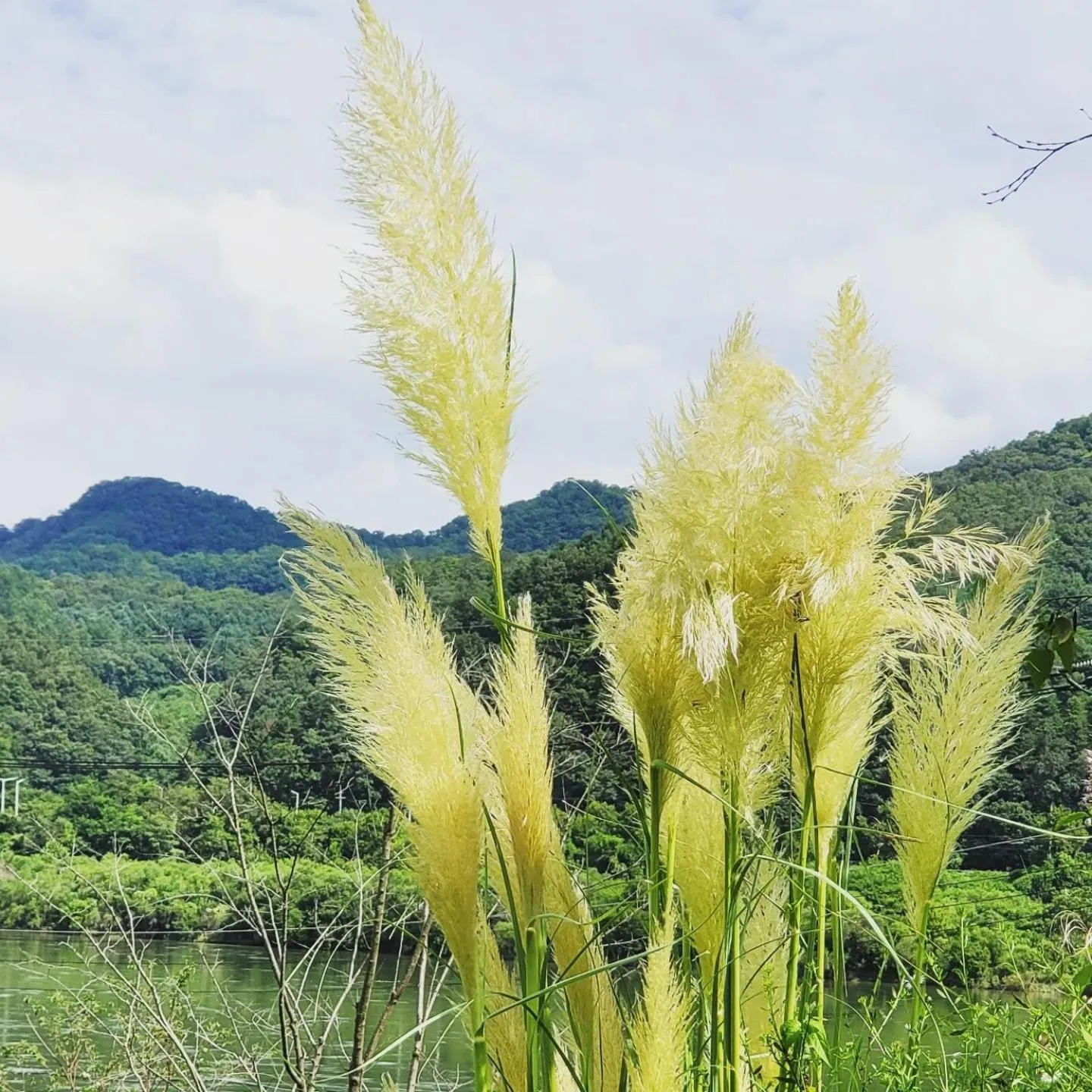 Chuncheon Onda Poolvilla