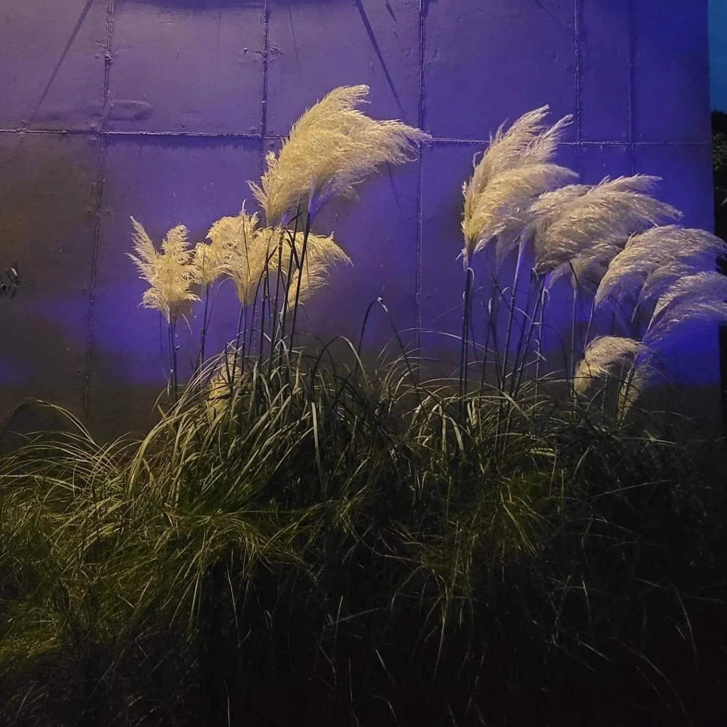 Chuncheon Onda Poolvilla