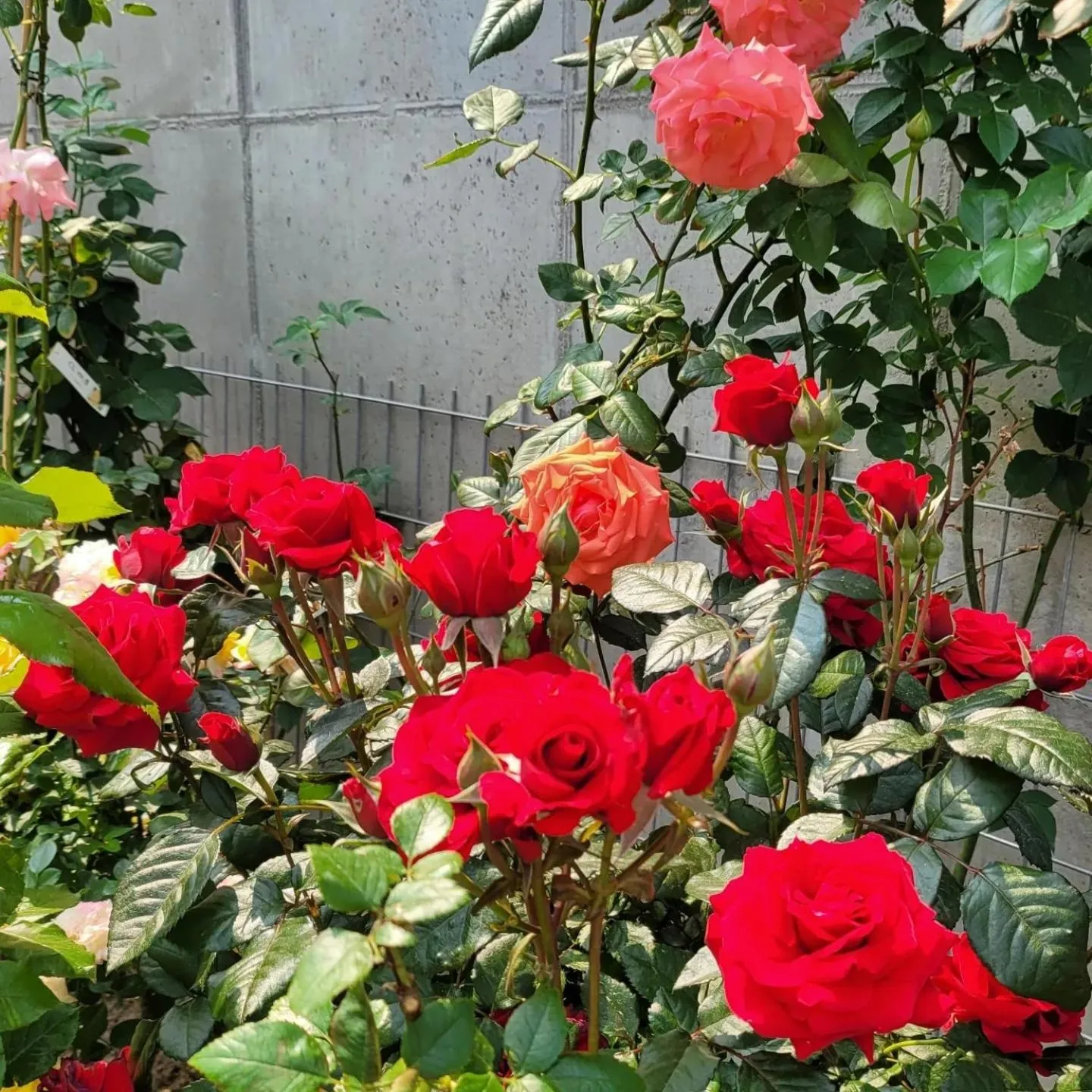 Chuncheon Onda Poolvilla