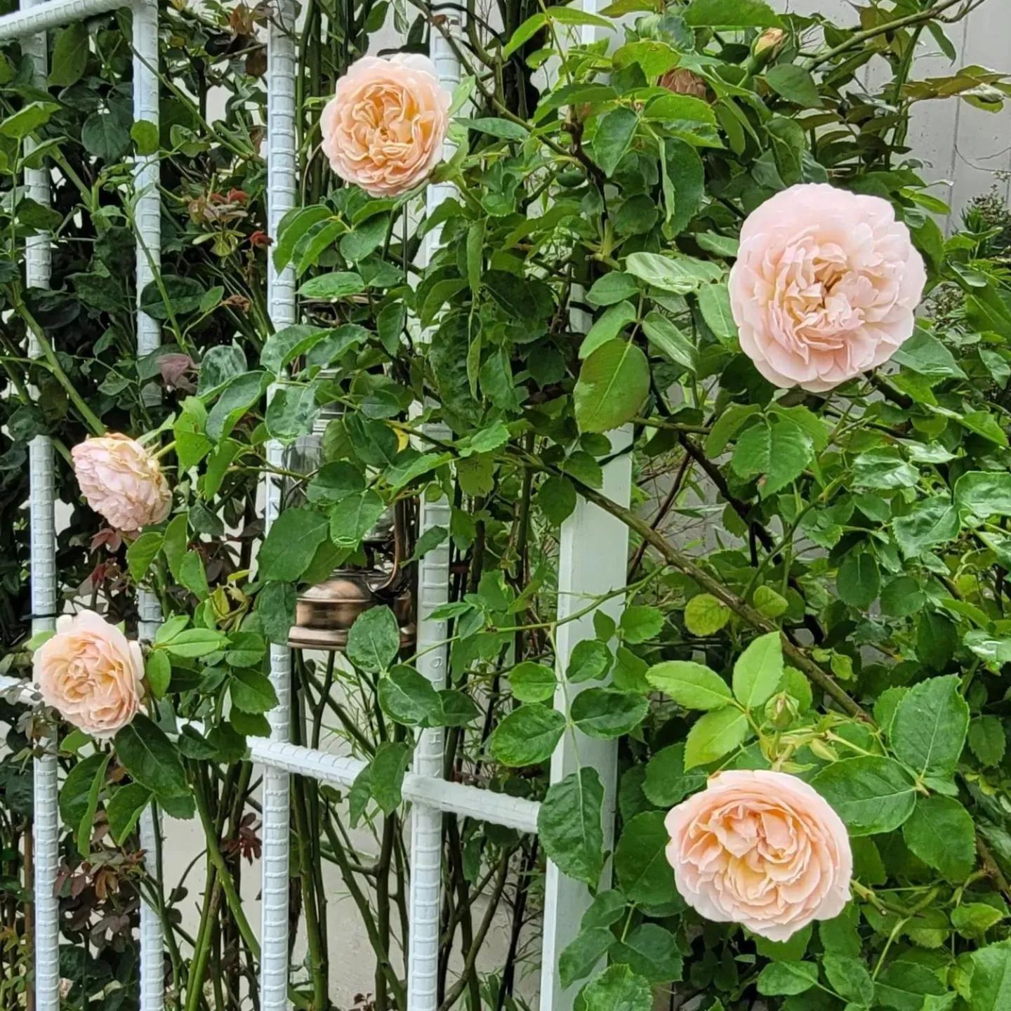 Chuncheon Onda Poolvilla