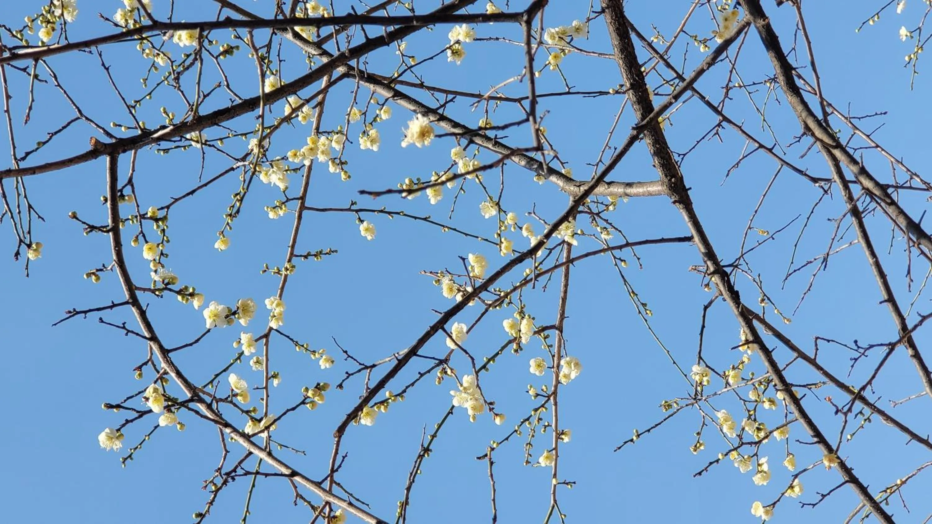 Chuncheon Onda Poolvilla