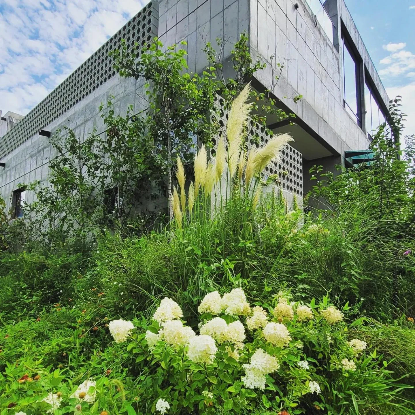 Chuncheon Onda Poolvilla