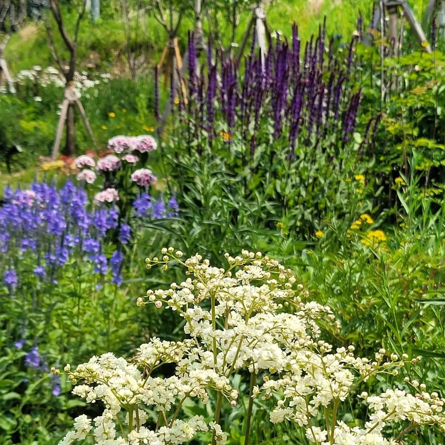 Chuncheon Onda Poolvilla