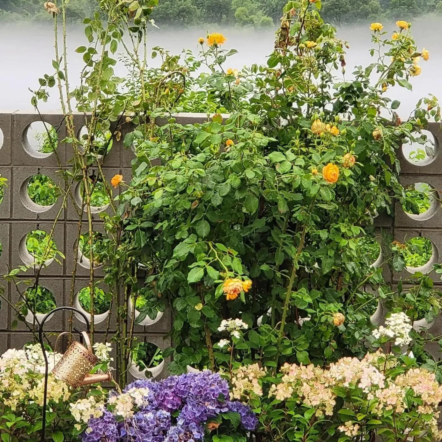 Chuncheon Onda Poolvilla