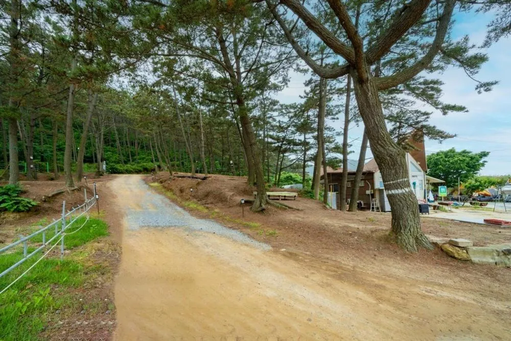 Bakripo Badawa Padosori Camping pension